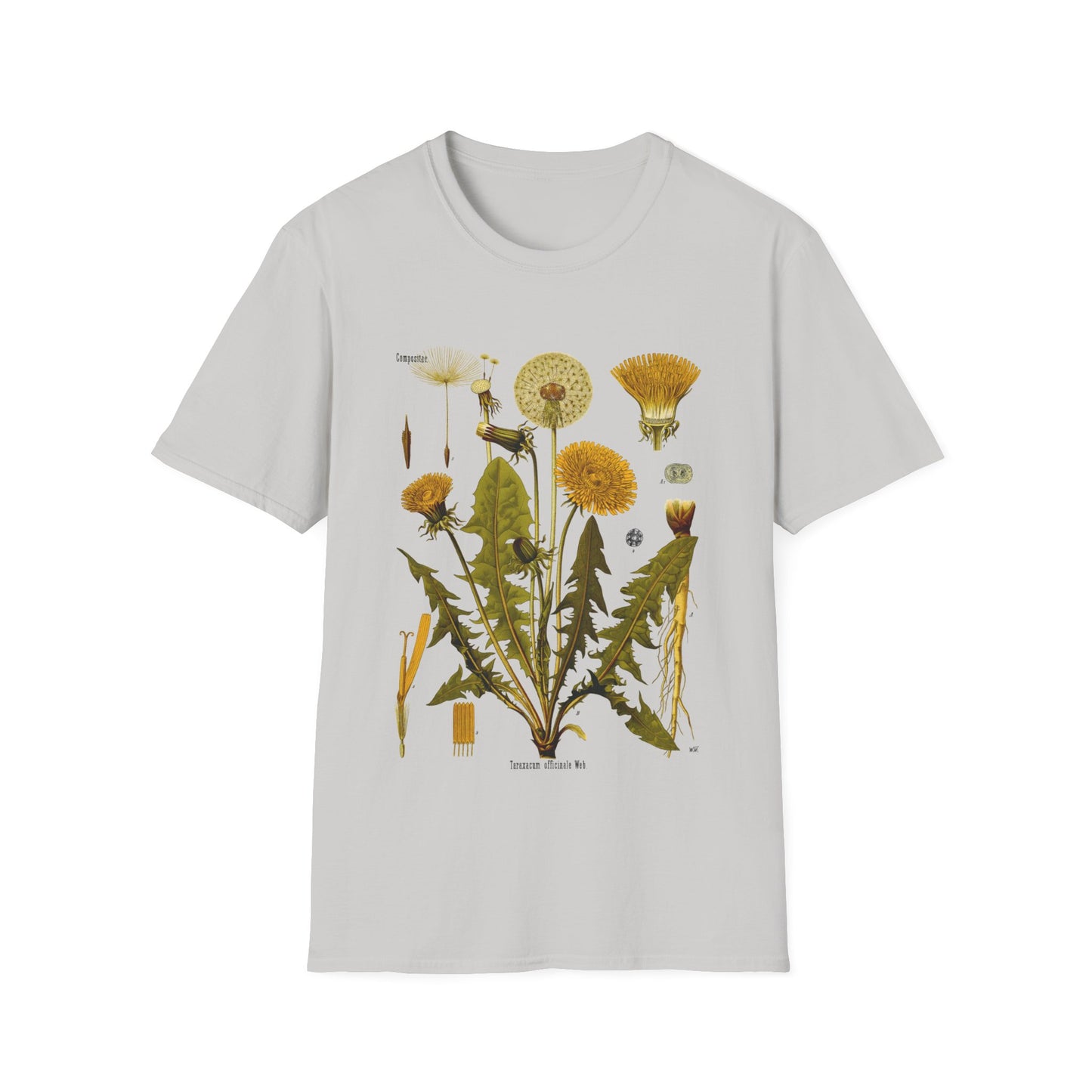 1887 botanical print from kohler's plants taraxacum officinale, the common dandelion tshirt