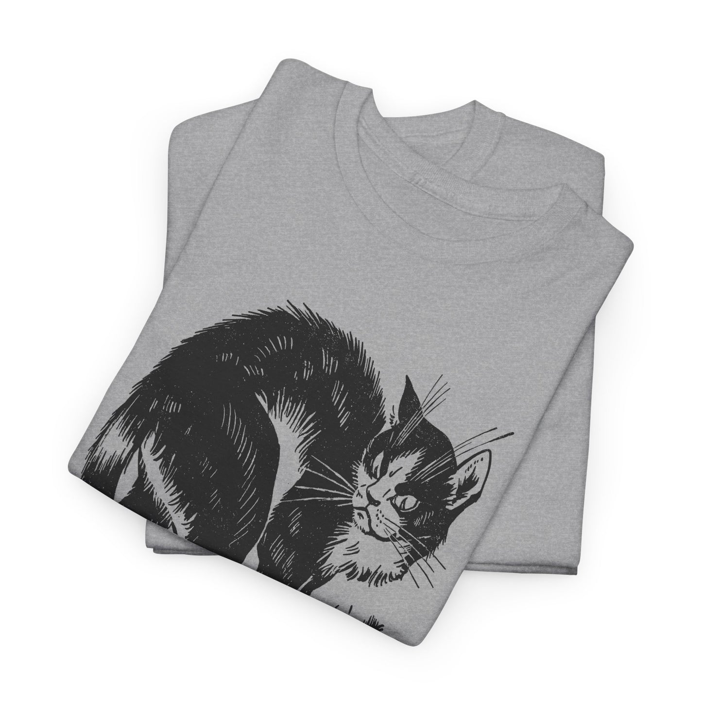 vintage french children's book illustration of angry cat and happy mouse reproduction tshirt
