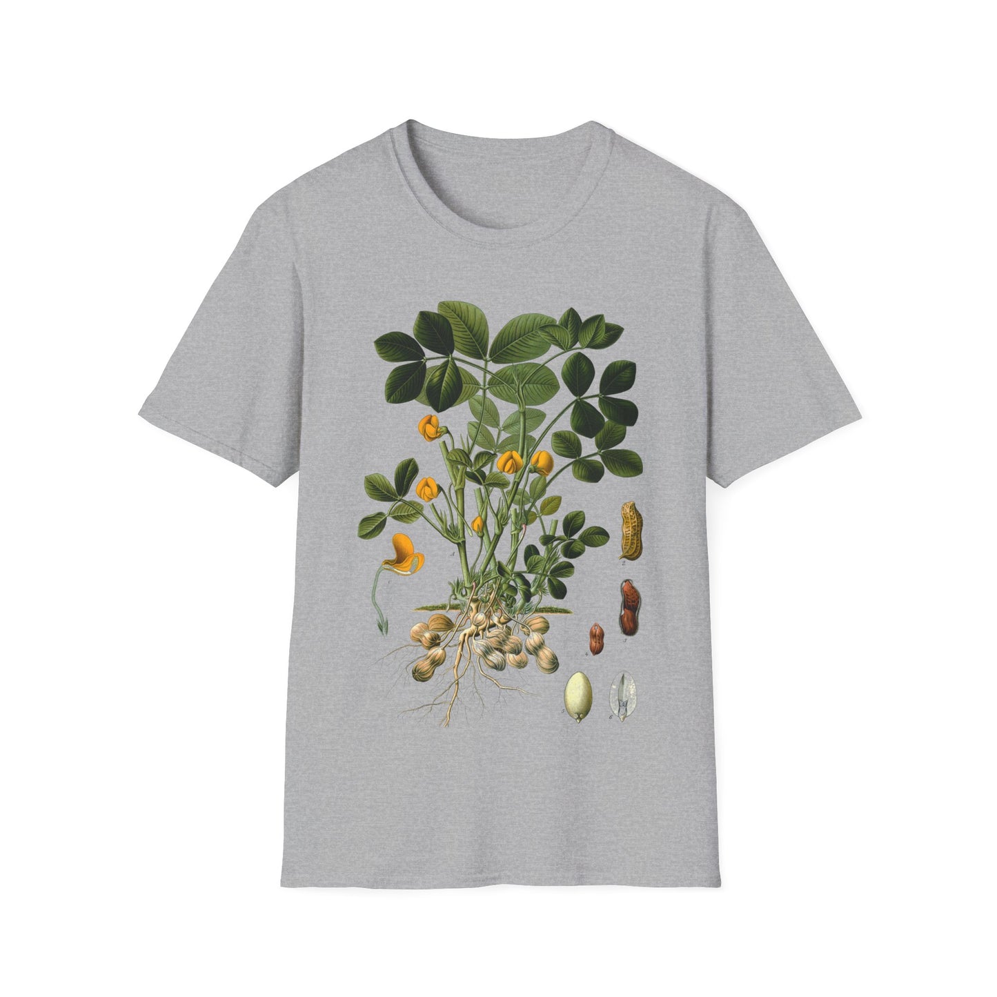 1887 peanut arachis hypogaea botanical print from kohler's plants by hermann adolph kohler tshirt