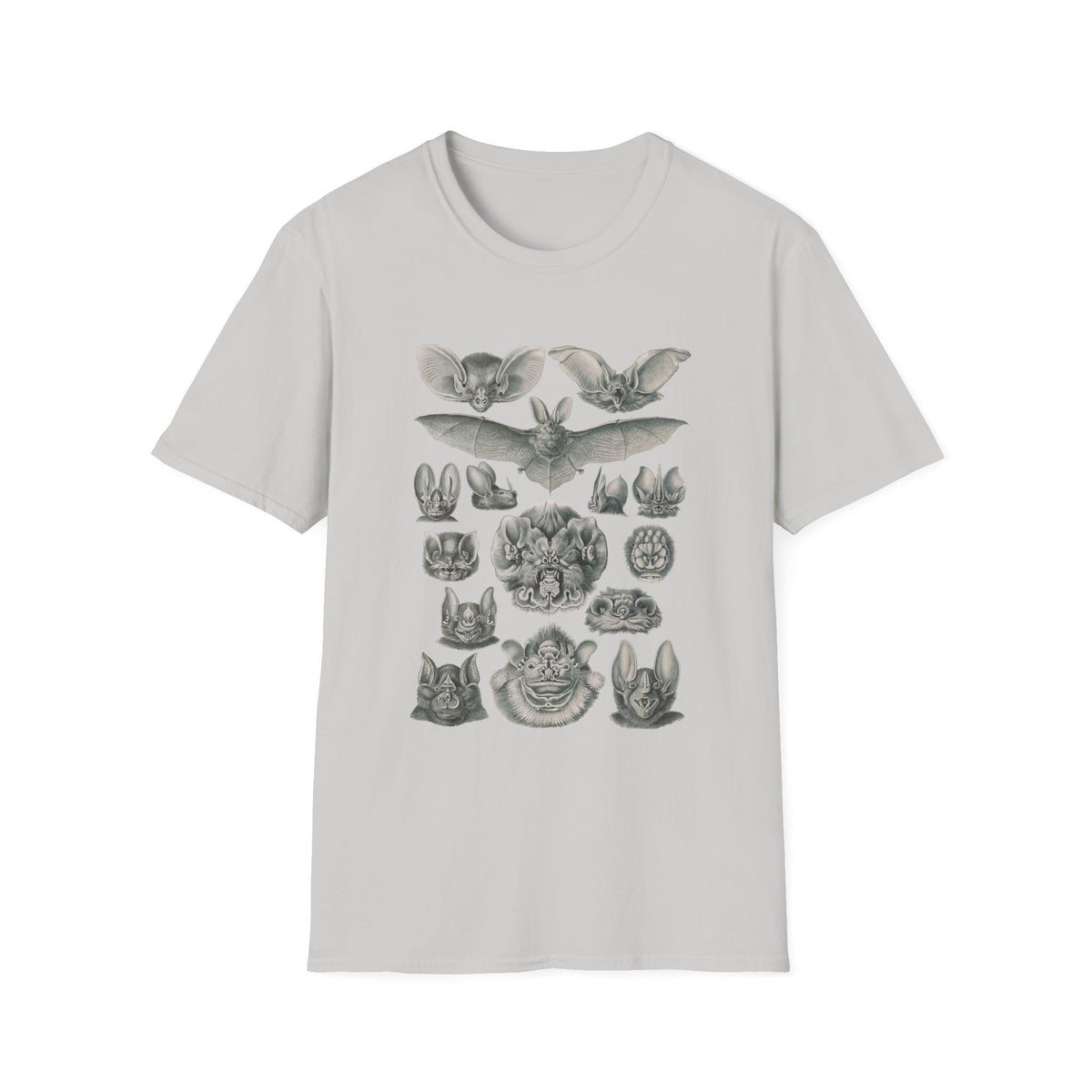 1904 chiroptera (fledertiere) bata print by adolf giltsch after sketch by ernst haeckel from art forms of nature tshirt