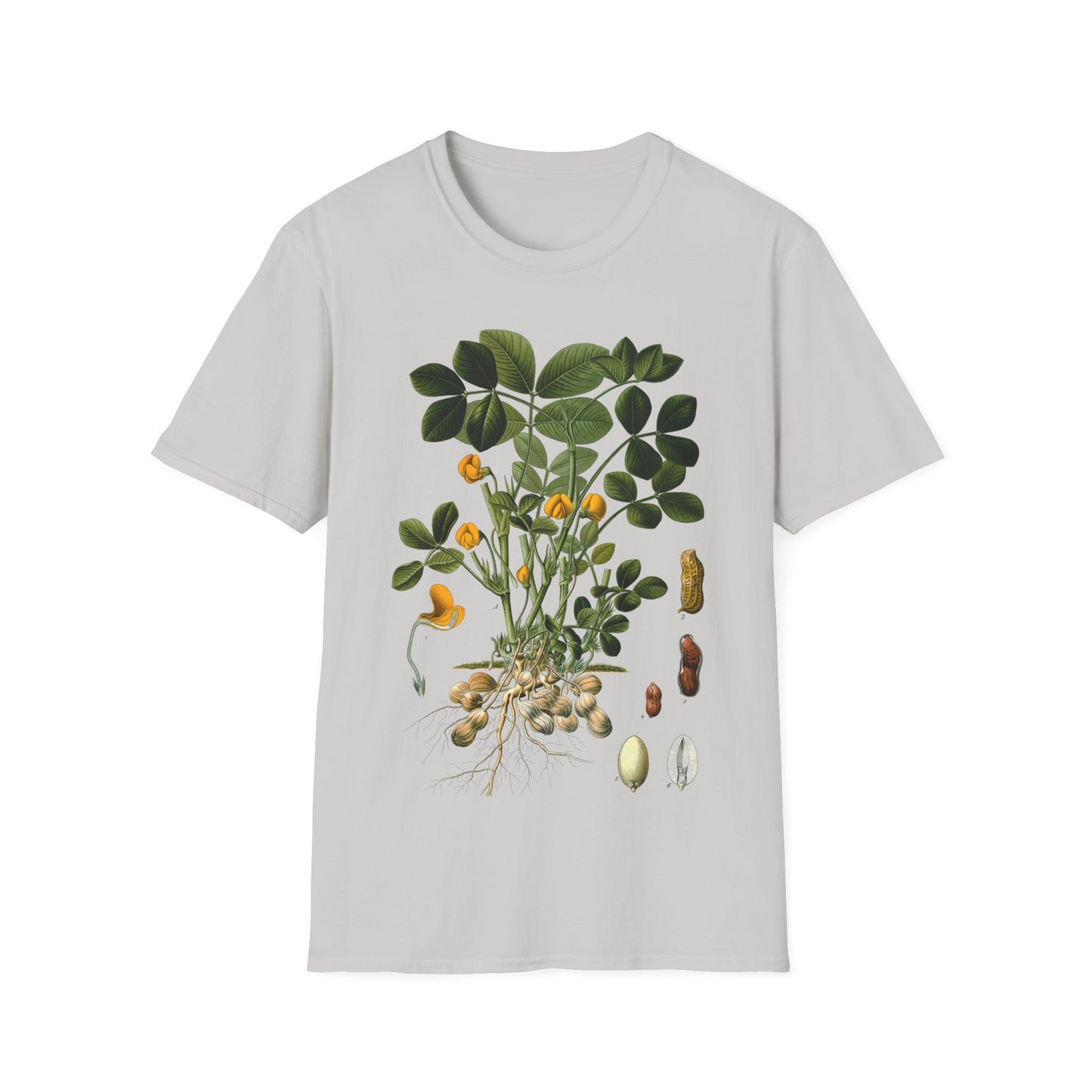 1887 peanut arachis hypogaea botanical print from kohler's plants by hermann adolph kohler tshirt