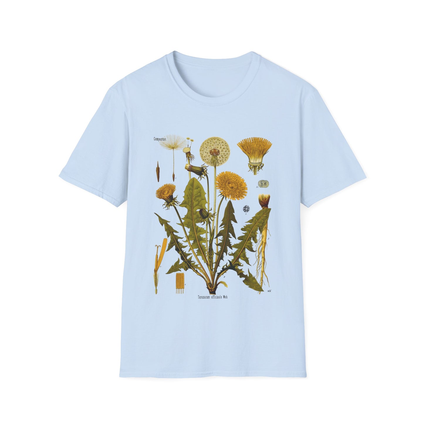 1887 botanical print from kohler's plants taraxacum officinale, the common dandelion tshirt