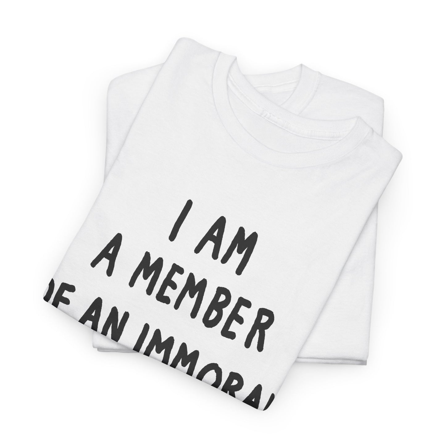 i am a member of an immoral subculture tshirt