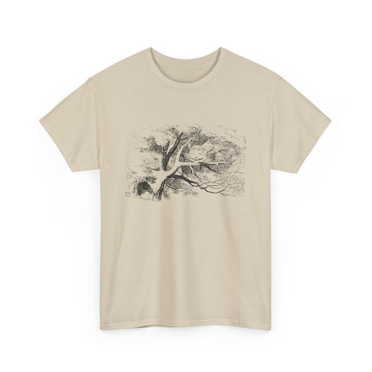 1865 alice's adventures in wonderland illustration by john tennial cheshire cat tshirt