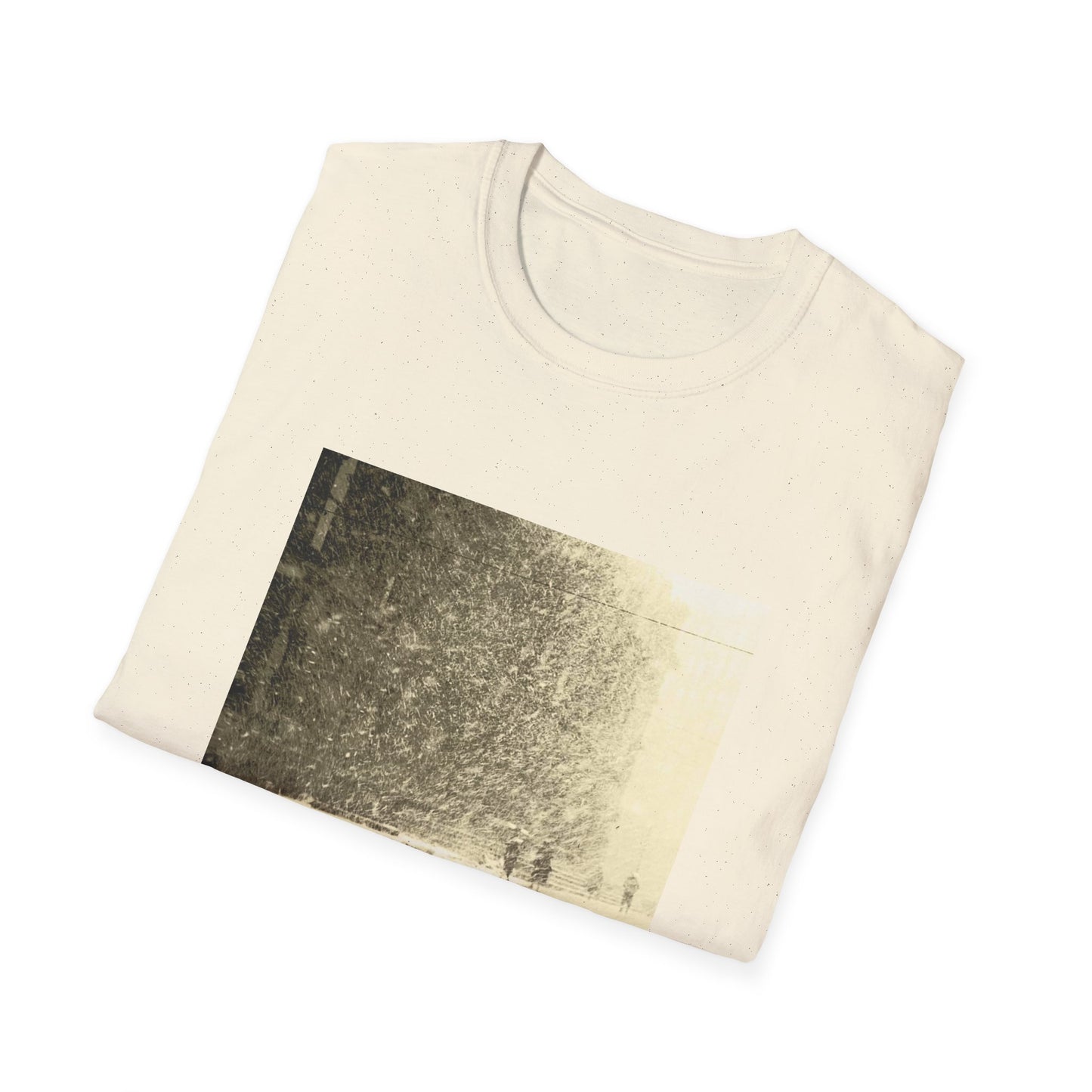 women 2010 public strain album tshirt