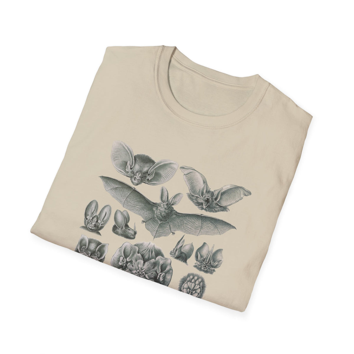1904 chiroptera (fledertiere) bata print by adolf giltsch after sketch by ernst haeckel from art forms of nature tshirt