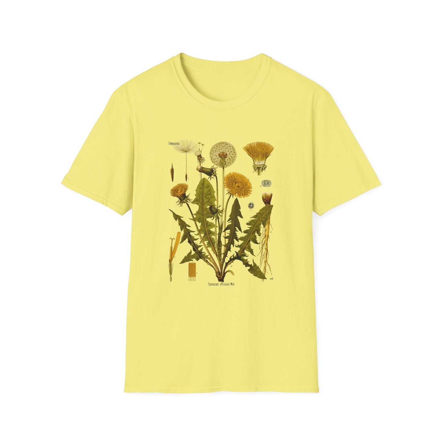 1887 botanical print from kohler's plants taraxacum officinale the common dandelion tshirt