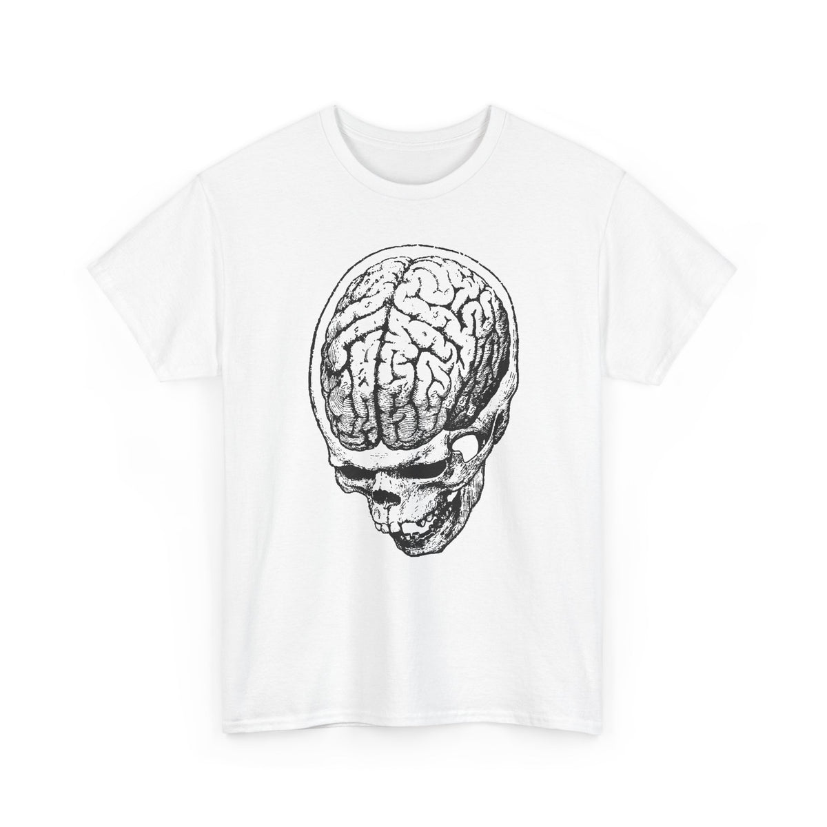 early 1900s brain anatomy illustration tshirt