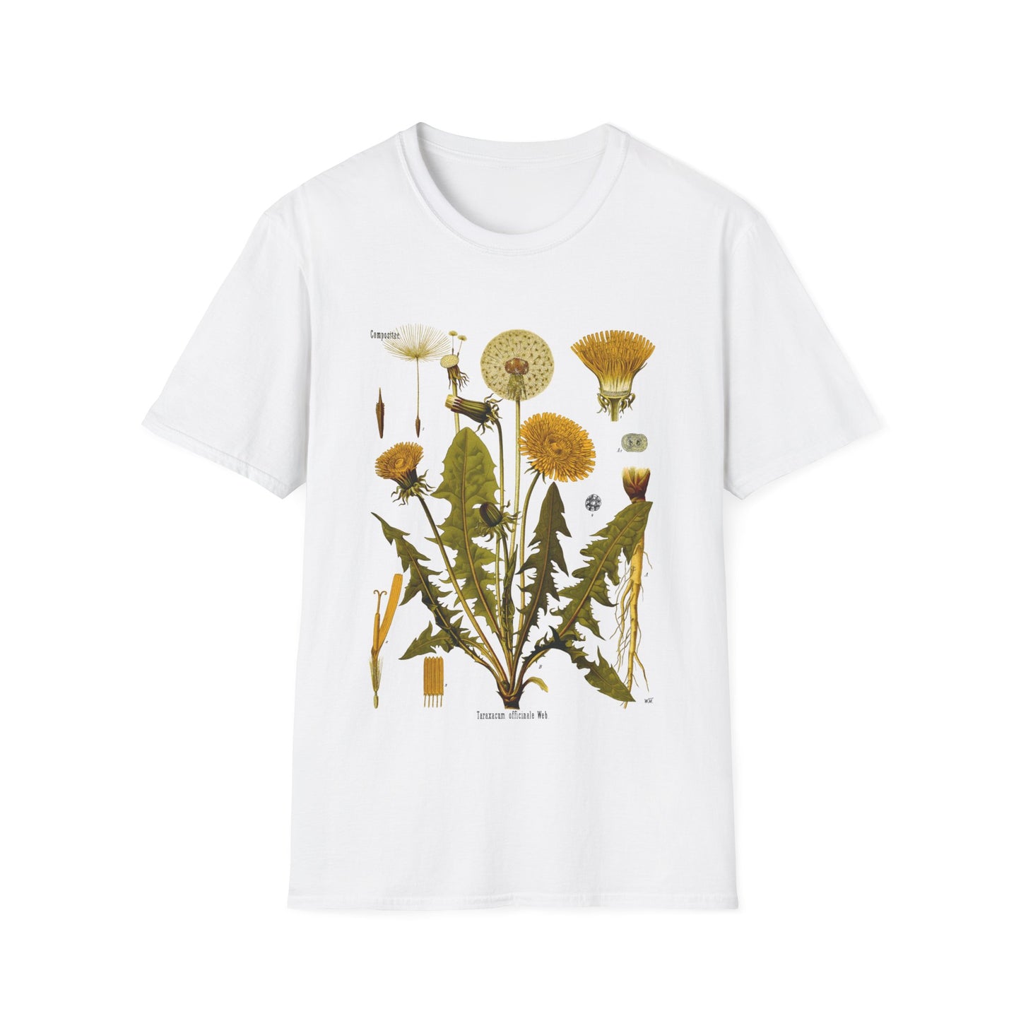 1887 botanical print from kohler's plants taraxacum officinale, the common dandelion tshirt