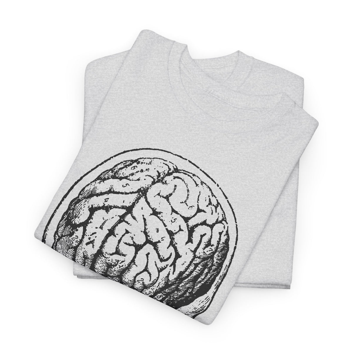 early 1900s brain anatomy illustration tshirt