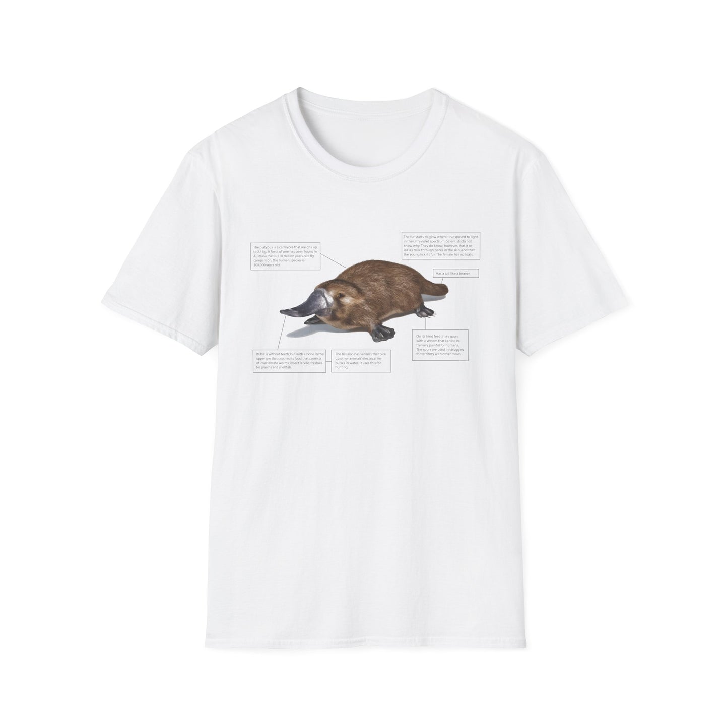 pleasant platypus facts tshirt