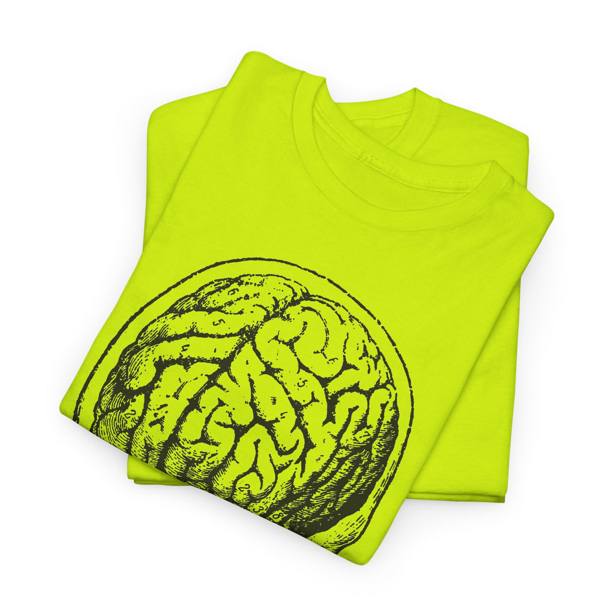early 1900s brain anatomy illustration tshirt