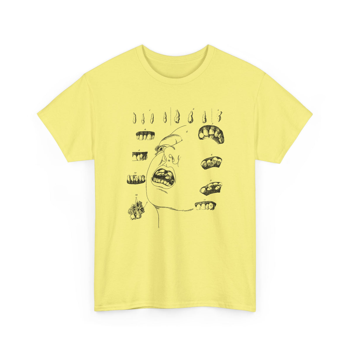 early 1800s disease of the human teeth dentistry illustration tshirt