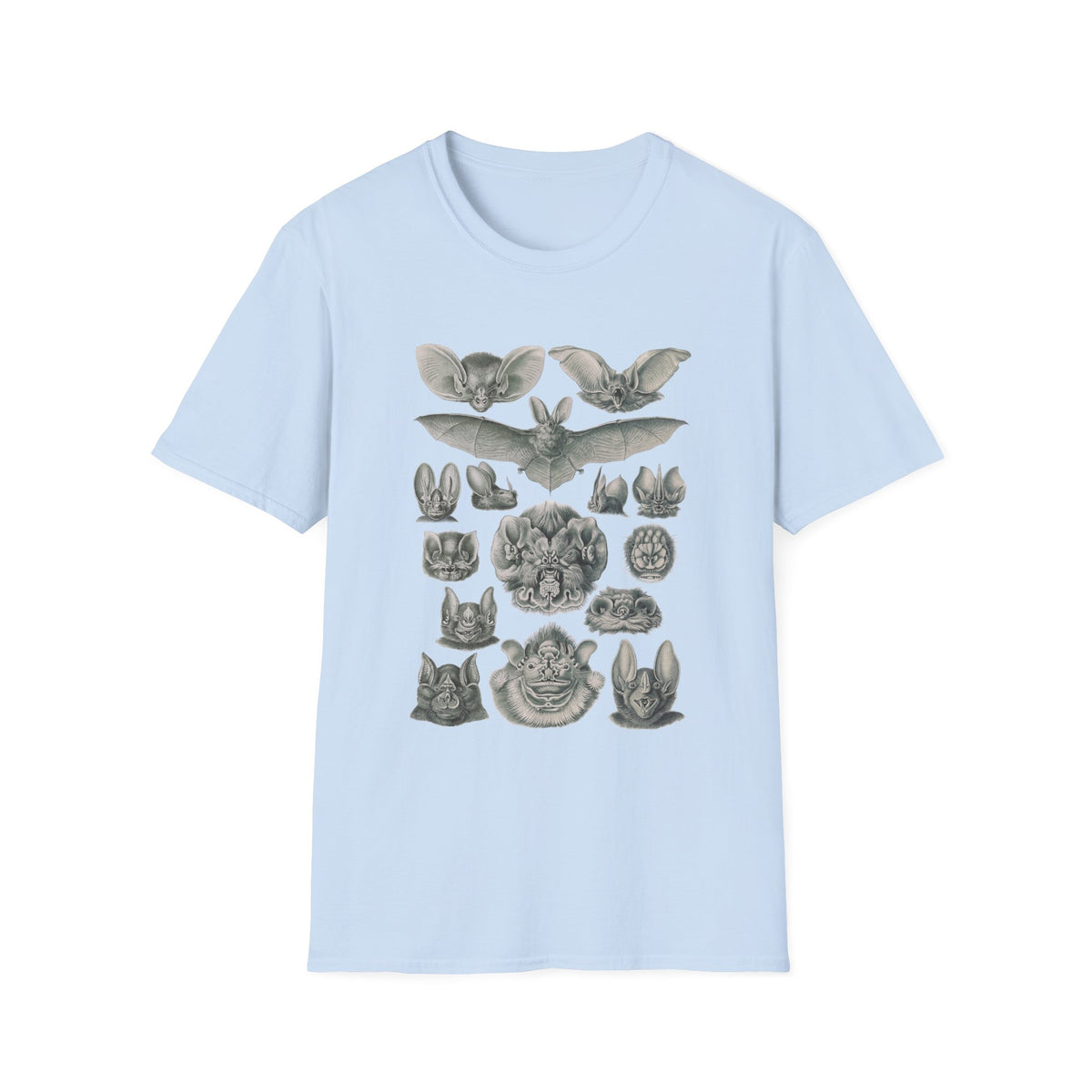 1904 chiroptera (fledertiere) bata print by adolf giltsch after sketch by ernst haeckel from art forms of nature tshirt