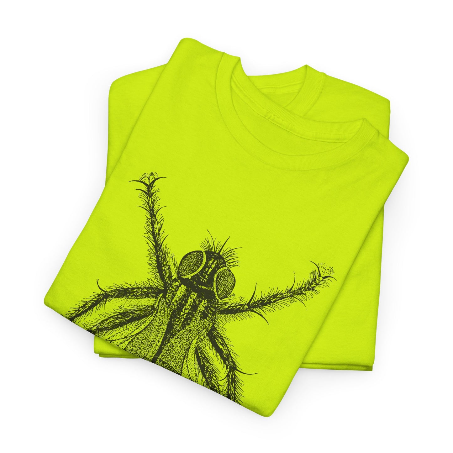 1889 fred's fly illustration from the boy travellers in australasia tshirt