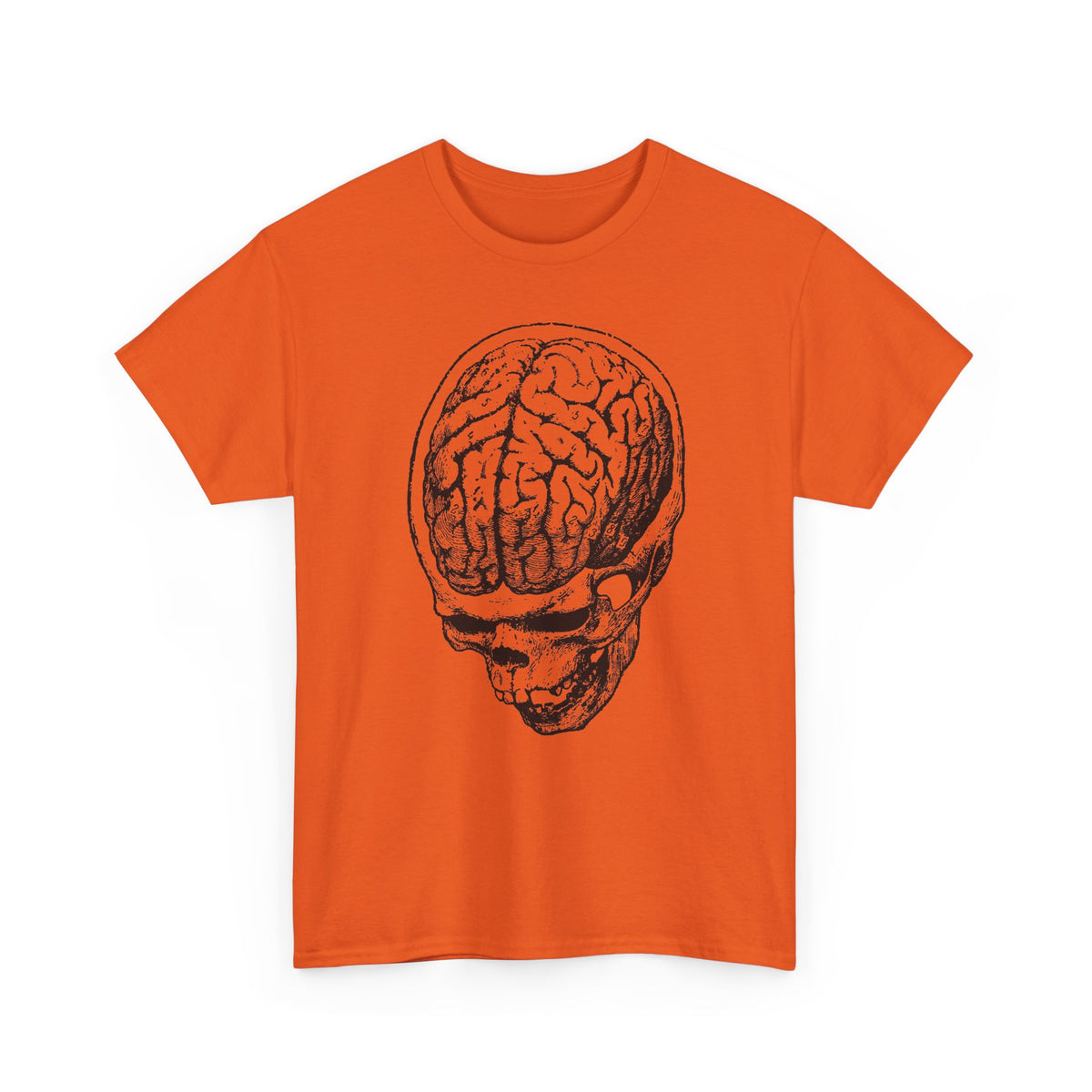 early 1900s brain anatomy illustration tshirt