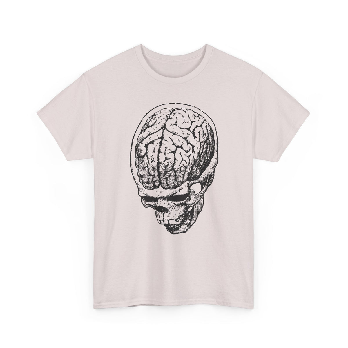 early 1900s brain anatomy illustration tshirt