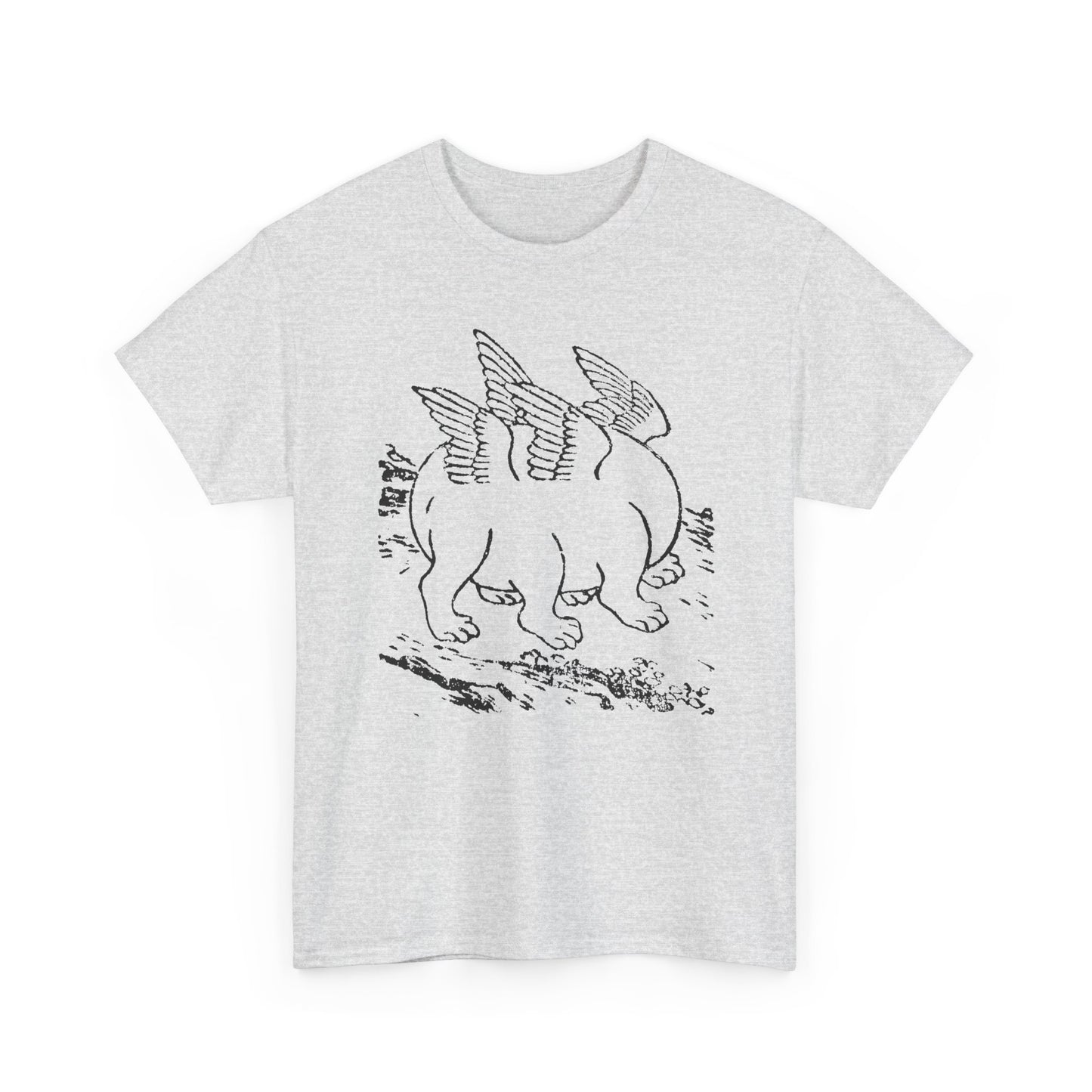 1897 primordial egg chinese emblem of the ten powers illustration tshirt