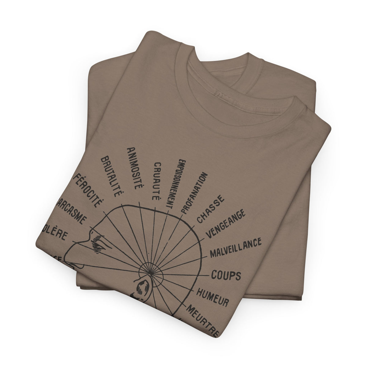 1902 vaught's practical character reader illustration the dangerous traits tshirt