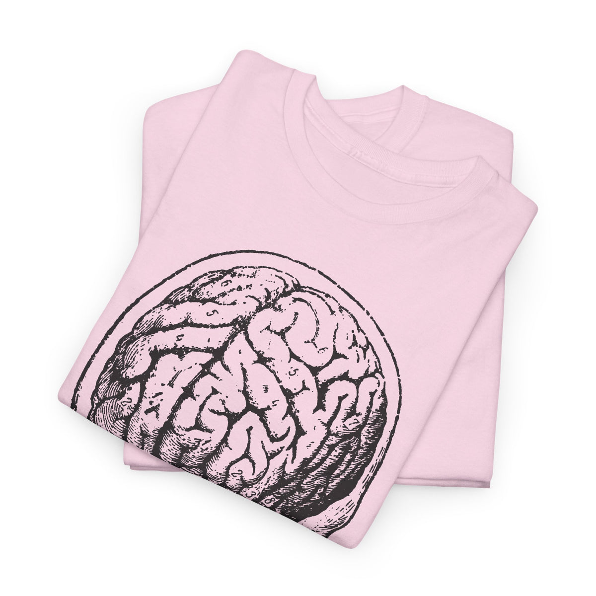 early 1900s brain anatomy illustration tshirt