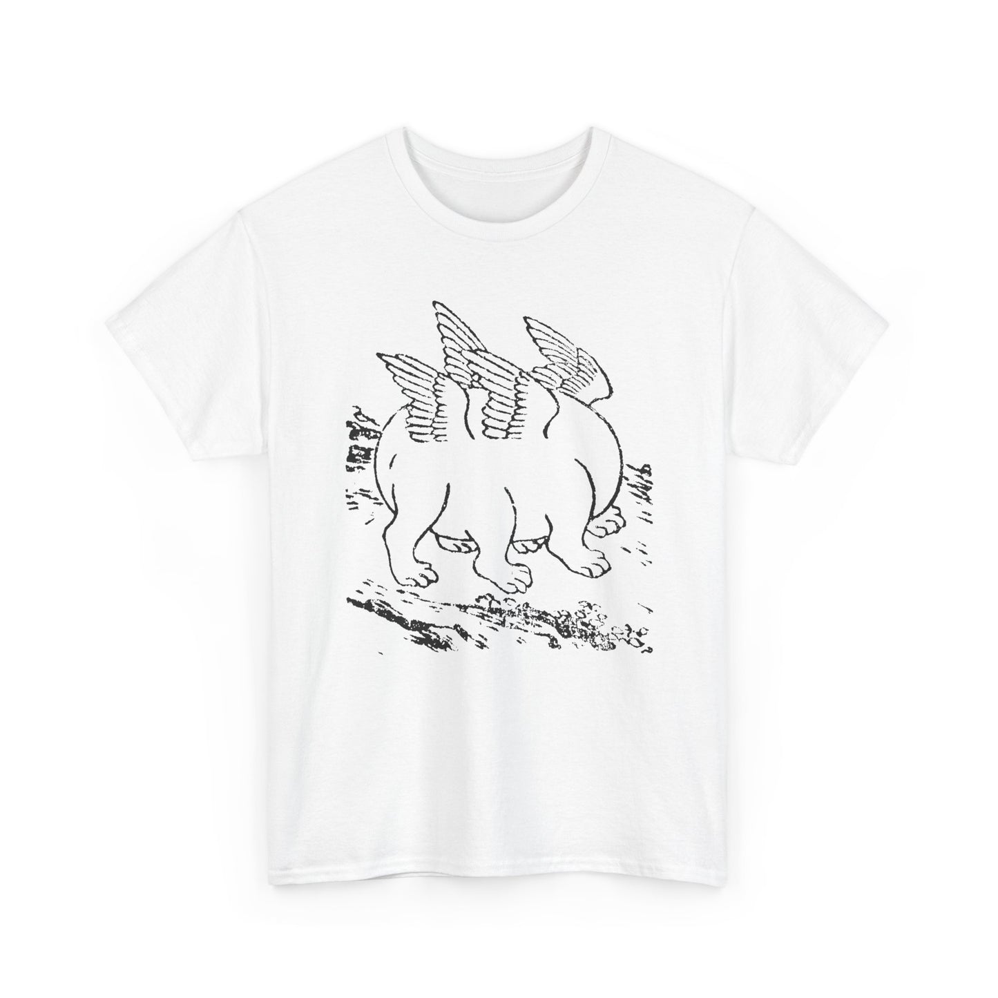 1897 primordial egg chinese emblem of the ten powers illustration tshirt
