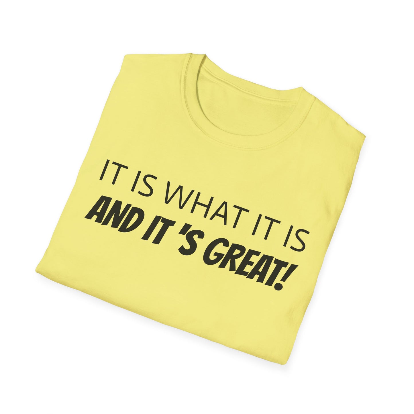 it is what it is and it's great! tshirt