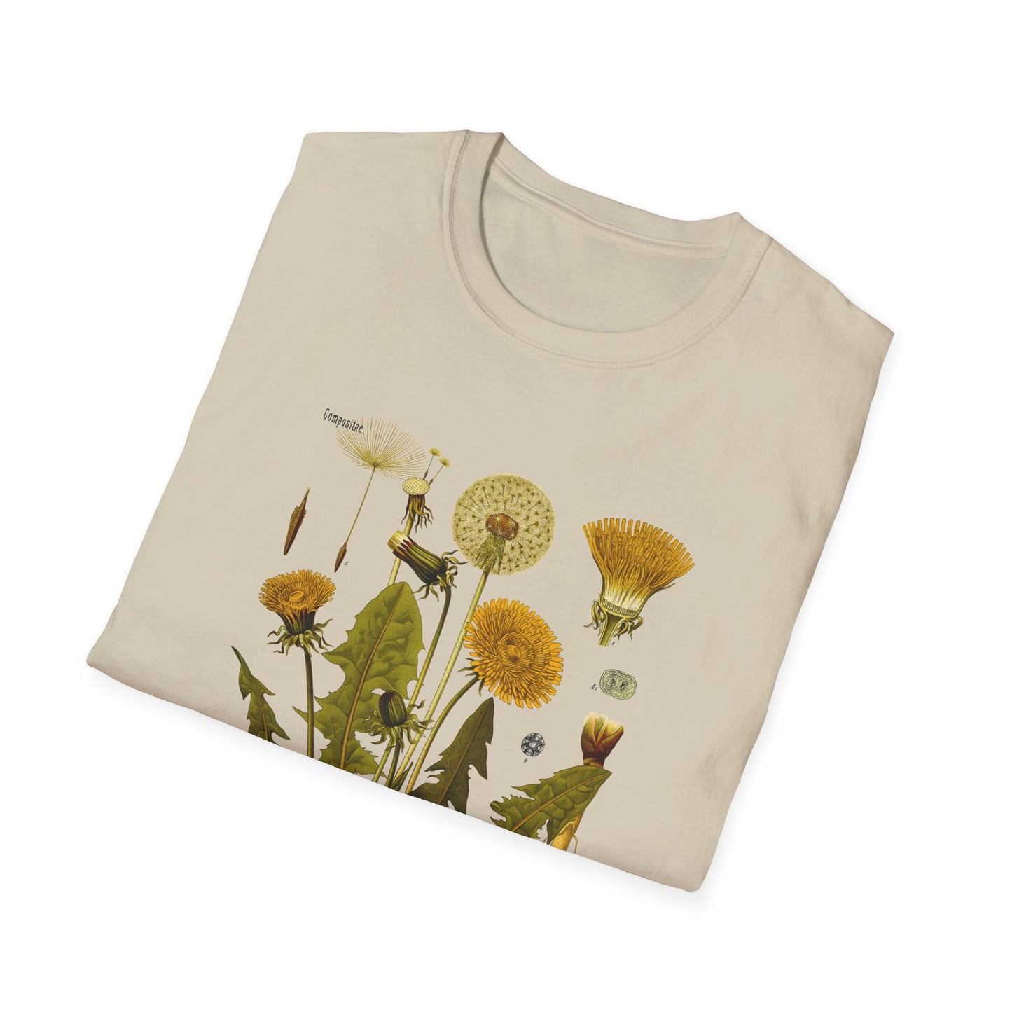 1887 botanical print from kohler's plants taraxacum officinale the common dandelion tshirt