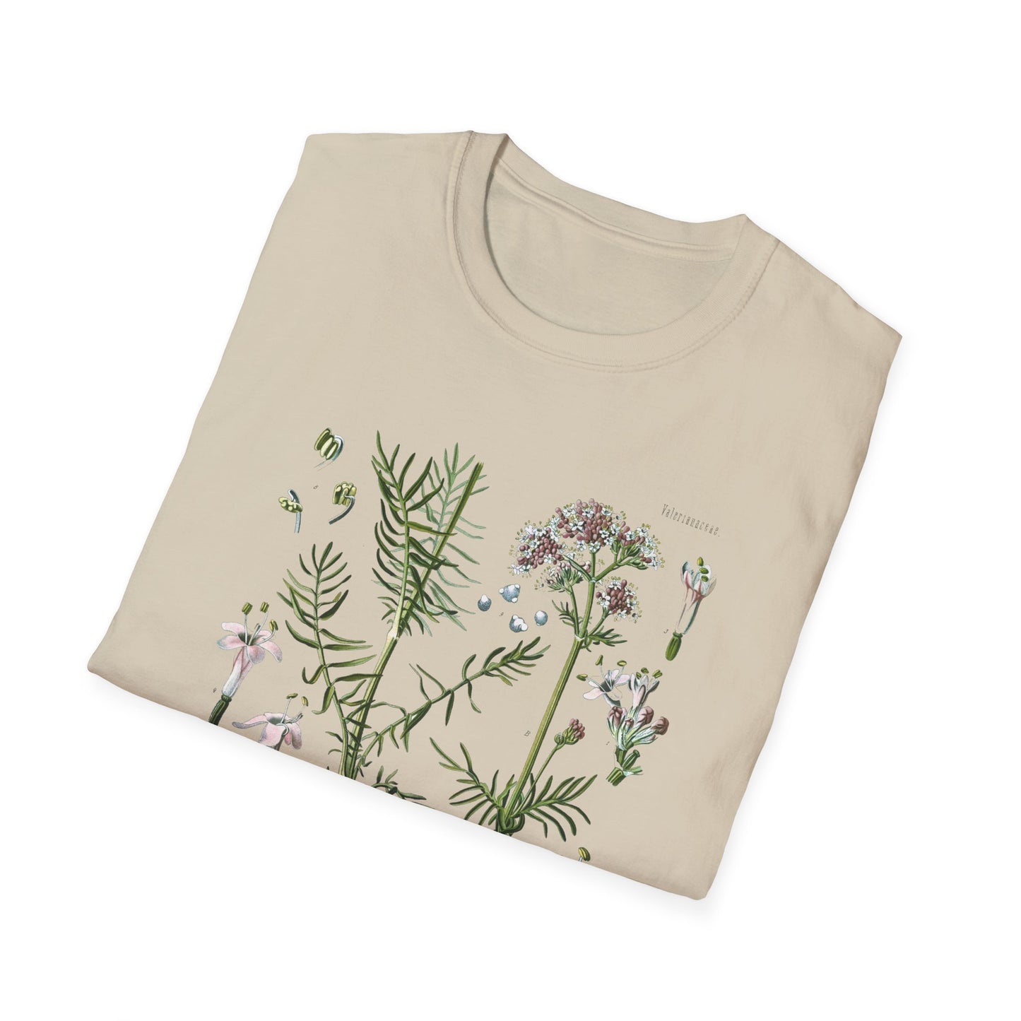 1887 valerian herb valeriana officinalis botanical print from kohler's plants by hermann adolph kohler tshirt