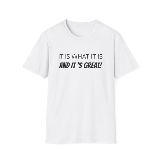 it is what it is and it's great! tshirt