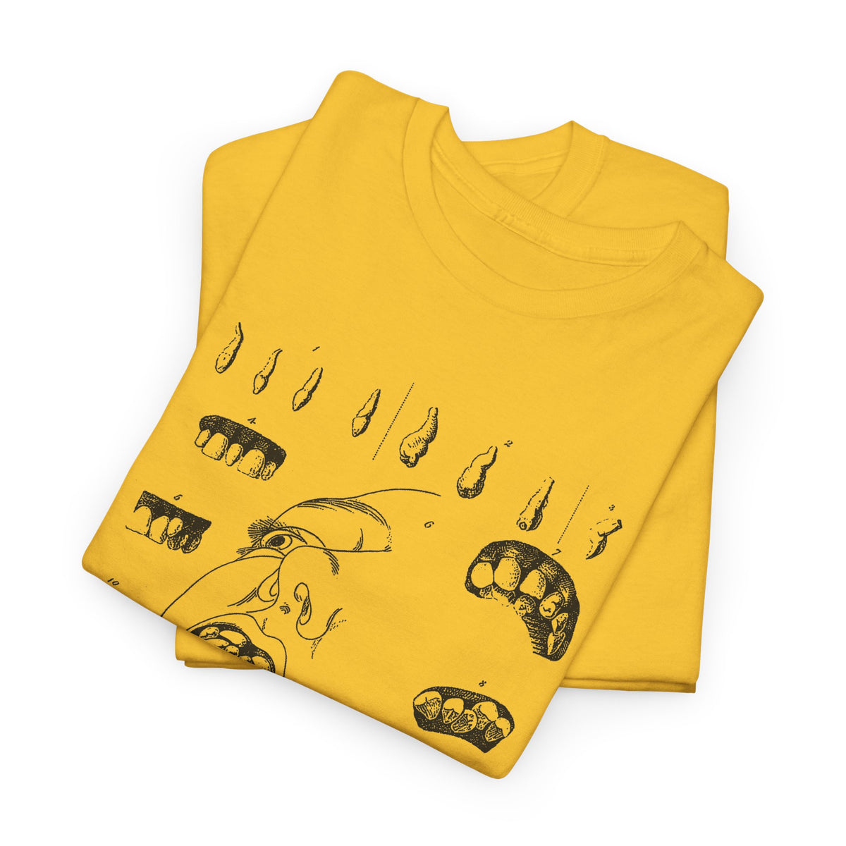 early 1800s disease of the human teeth dentistry illustration tshirt