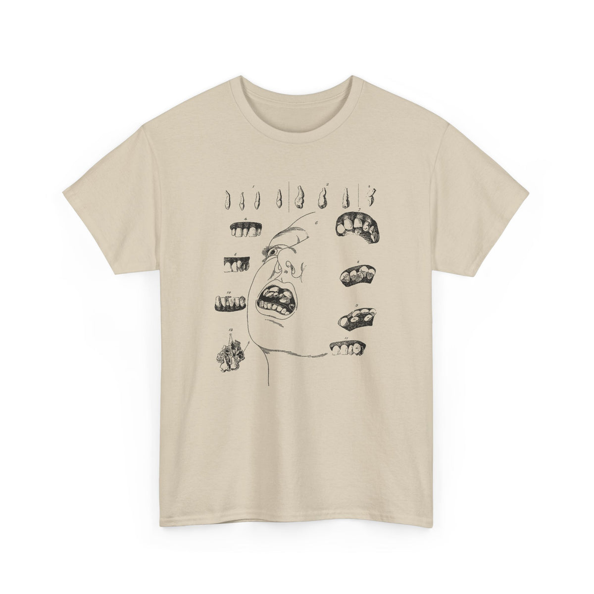 early 1800s disease of the human teeth dentistry illustration tshirt