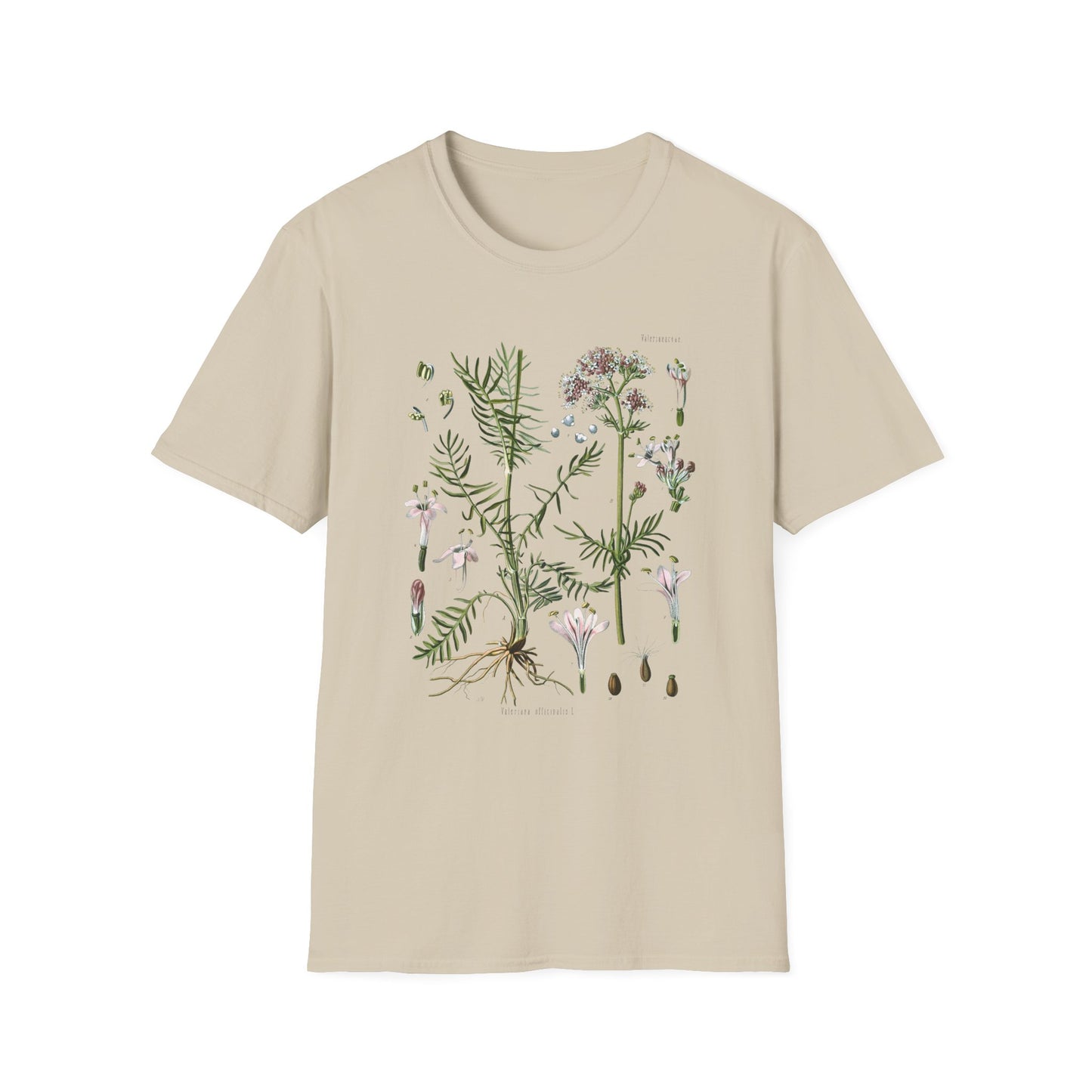 1887 valerian herb valeriana officinalis botanical print from kohler's plants by hermann adolph kohler tshirt