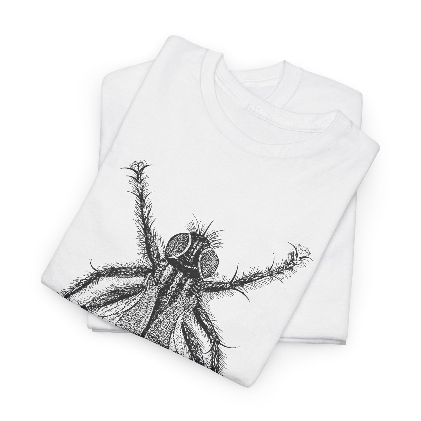 1889 fred's fly illustration from the boy travellers in australasia tshirt