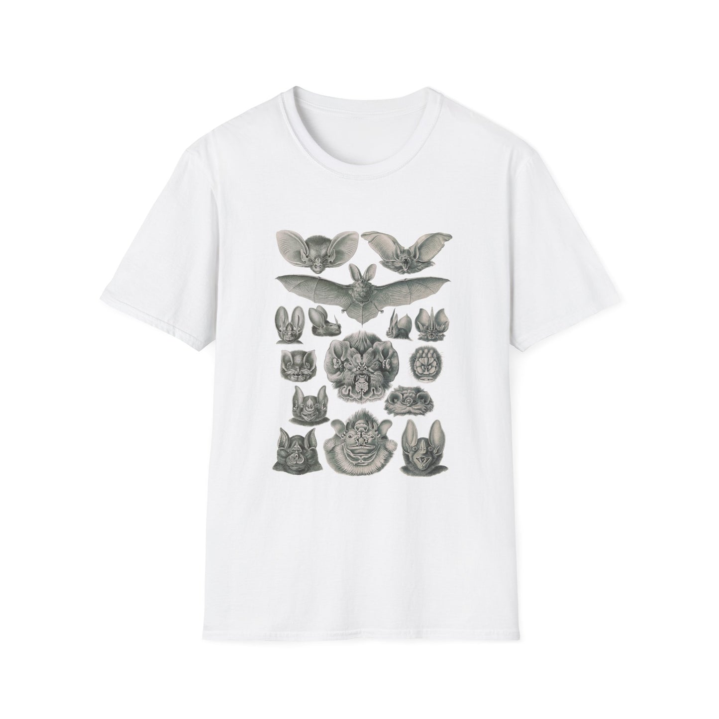 1904 chiroptera (fledertiere) bata print by adolf giltsch after sketch by ernst haeckel from art forms of nature tshirt