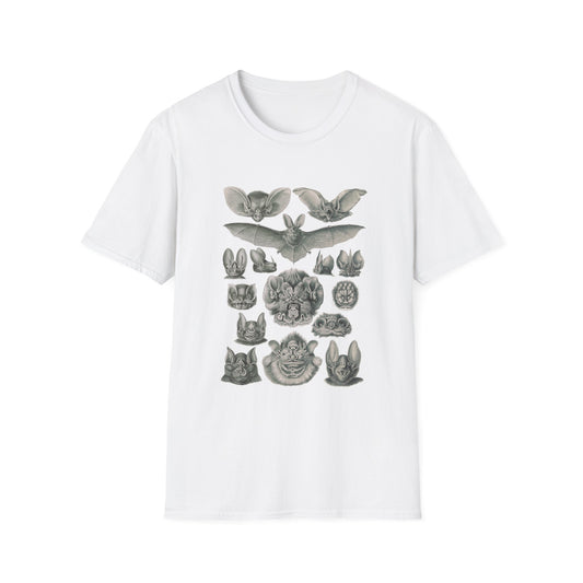1904 chiroptera (fledertiere) bata print by adolf giltsch after sketch by ernst haeckel from art forms of nature tshirt