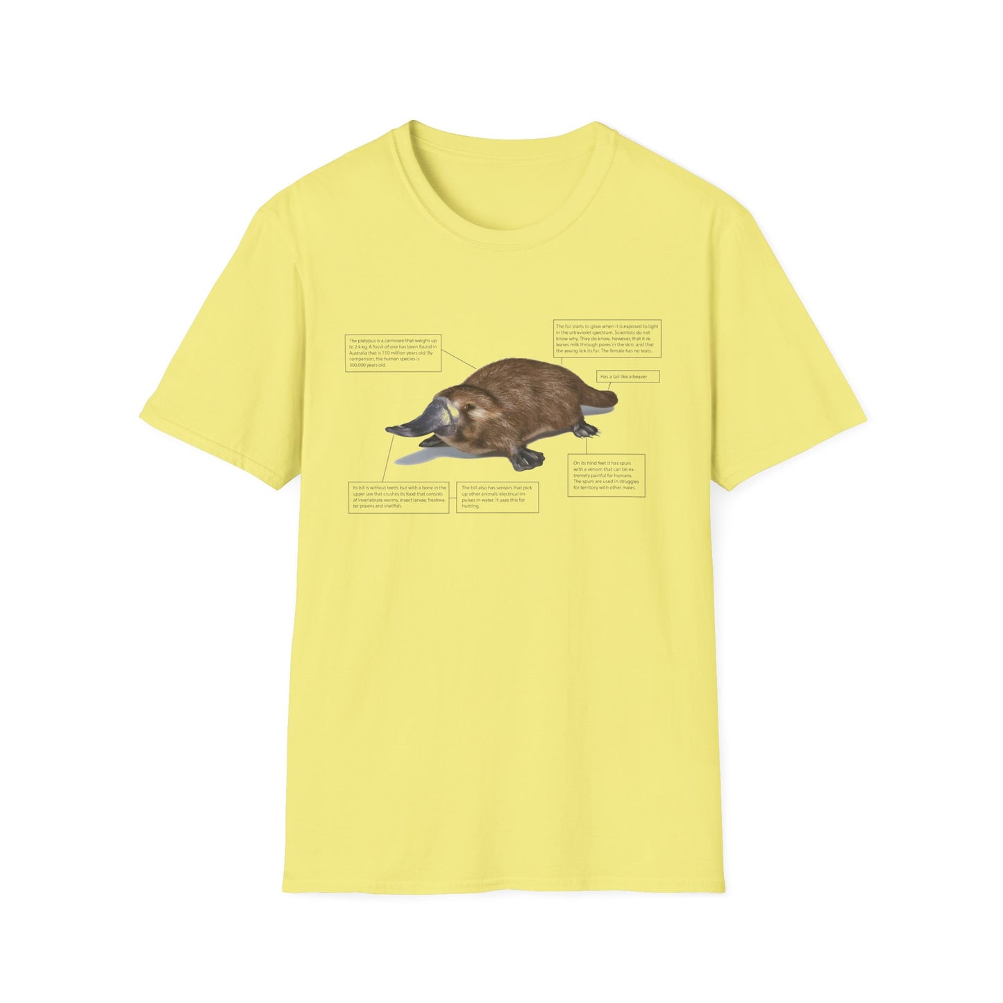 pleasant platypus facts tshirt