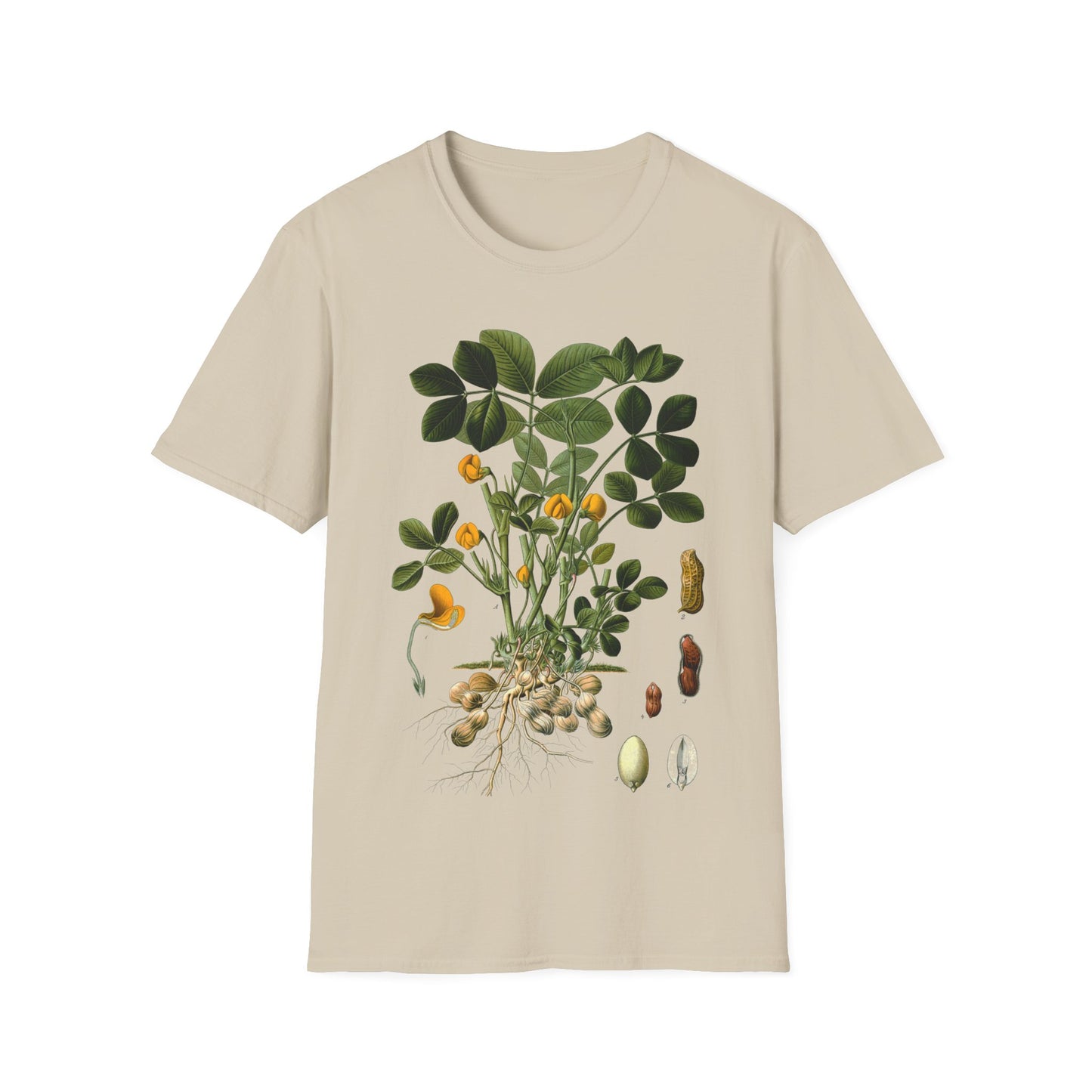 1887 peanut arachis hypogaea botanical print from kohler's plants by hermann adolph kohler tshirt