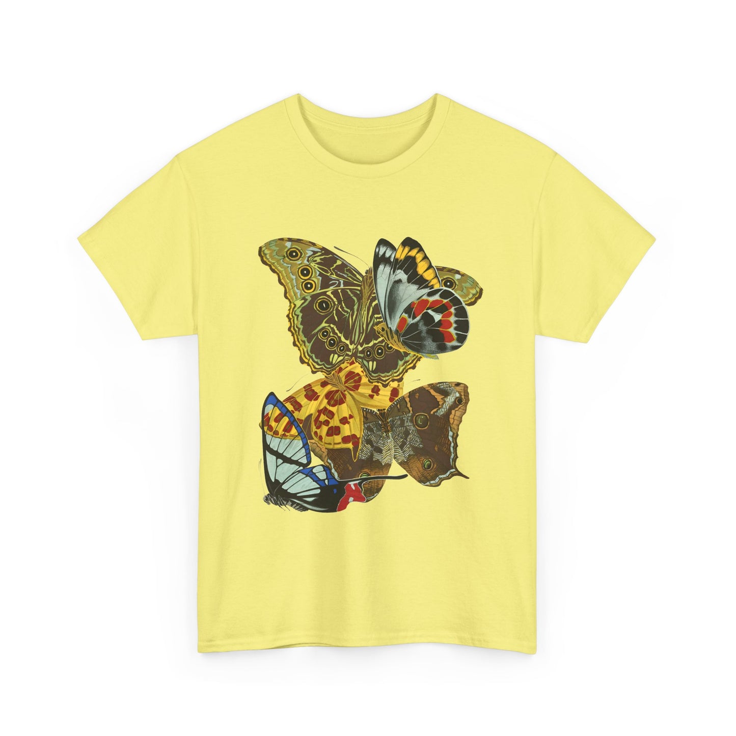 1925 papillons butterfly illustration by emile allain seguy tshirt