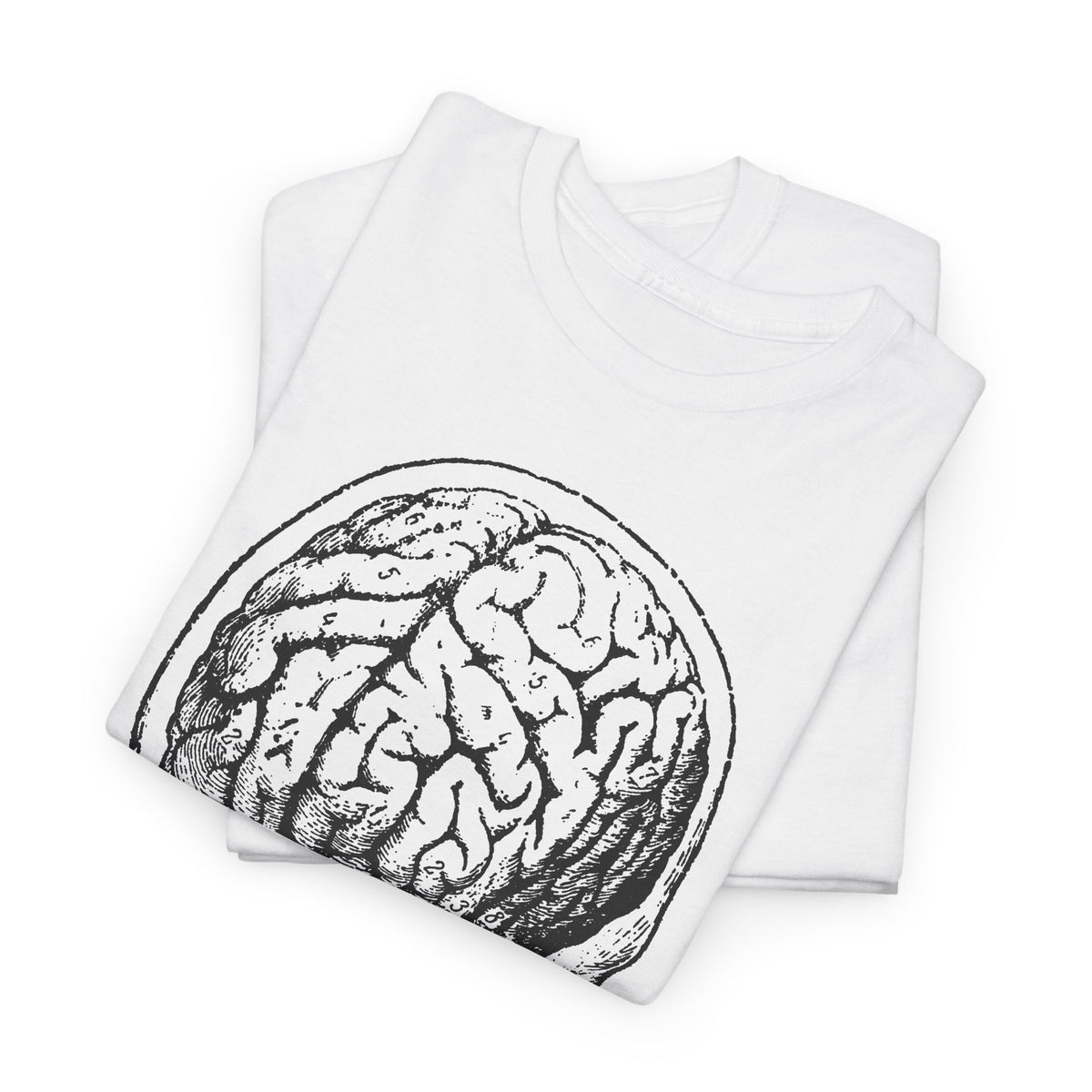 early 1900s brain anatomy illustration tshirt