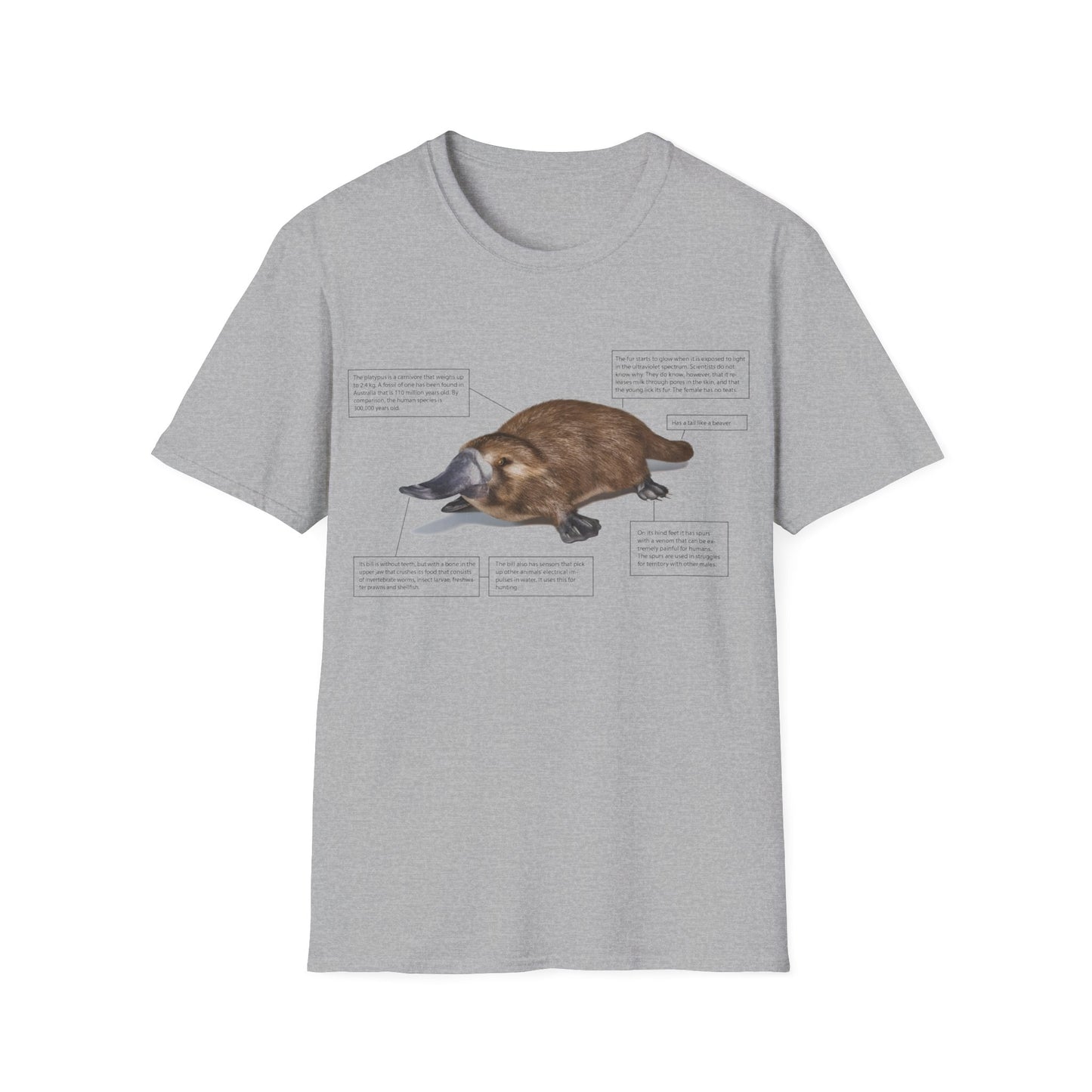 pleasant platypus facts tshirt