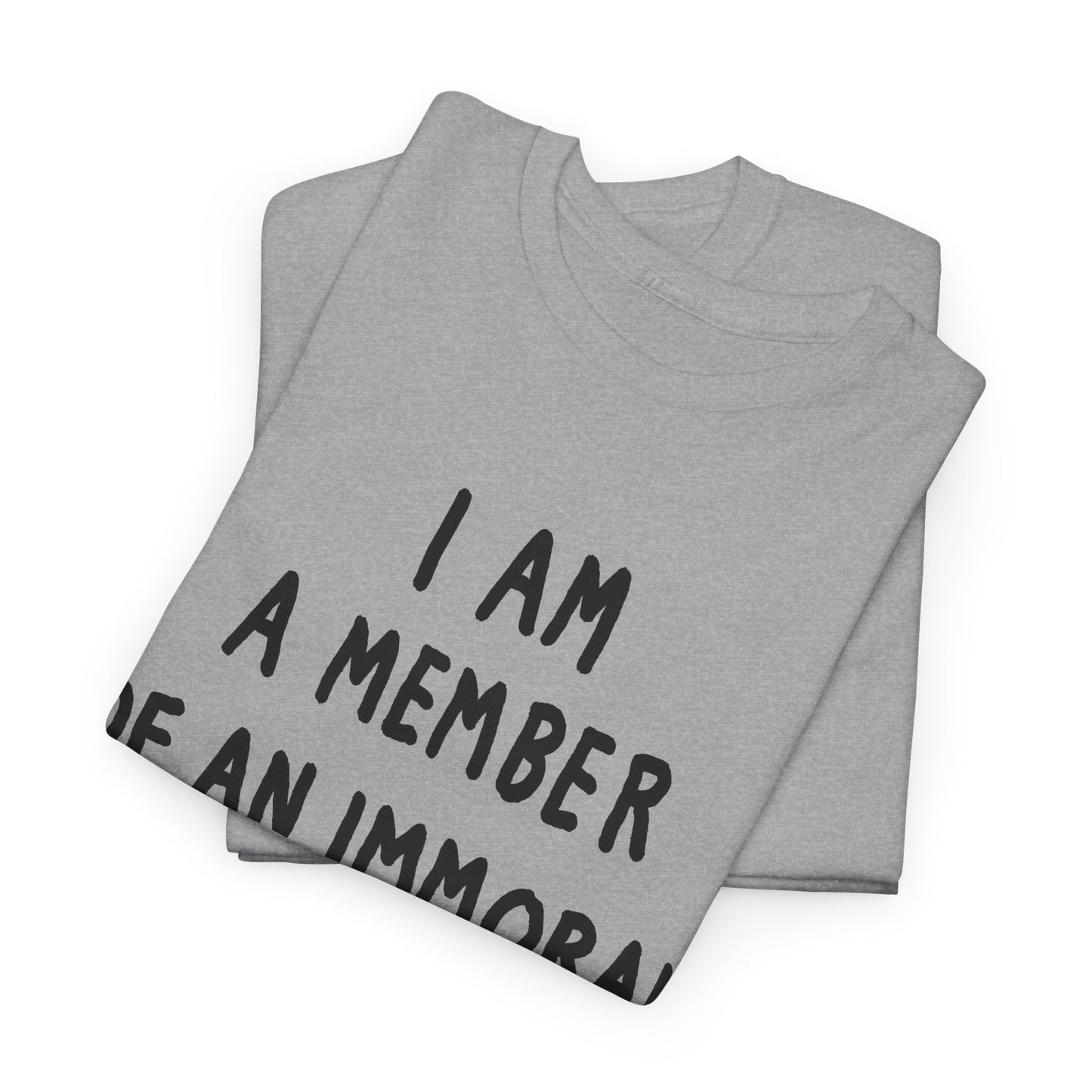 i am a member of an immoral subculture tshirt