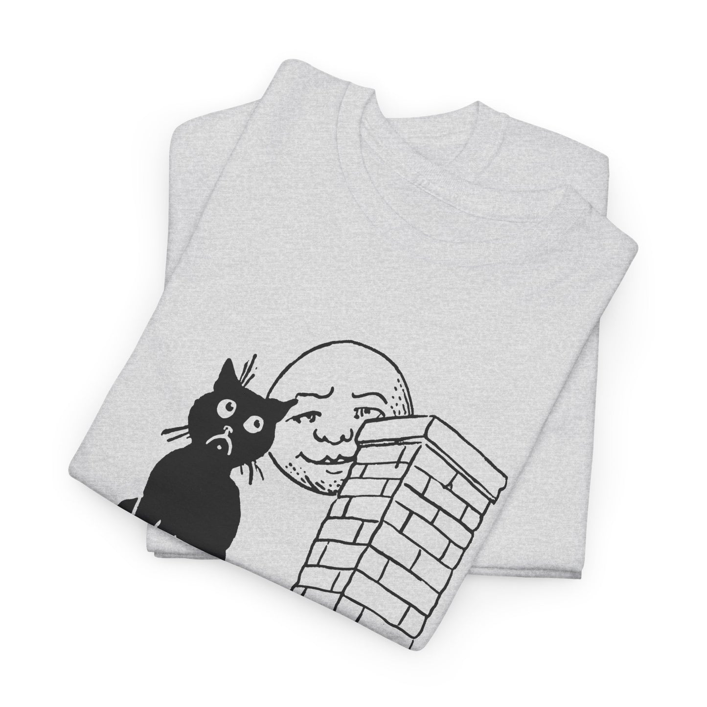 1906 postcard art can't you see i'm lonely cat on roof tshirt