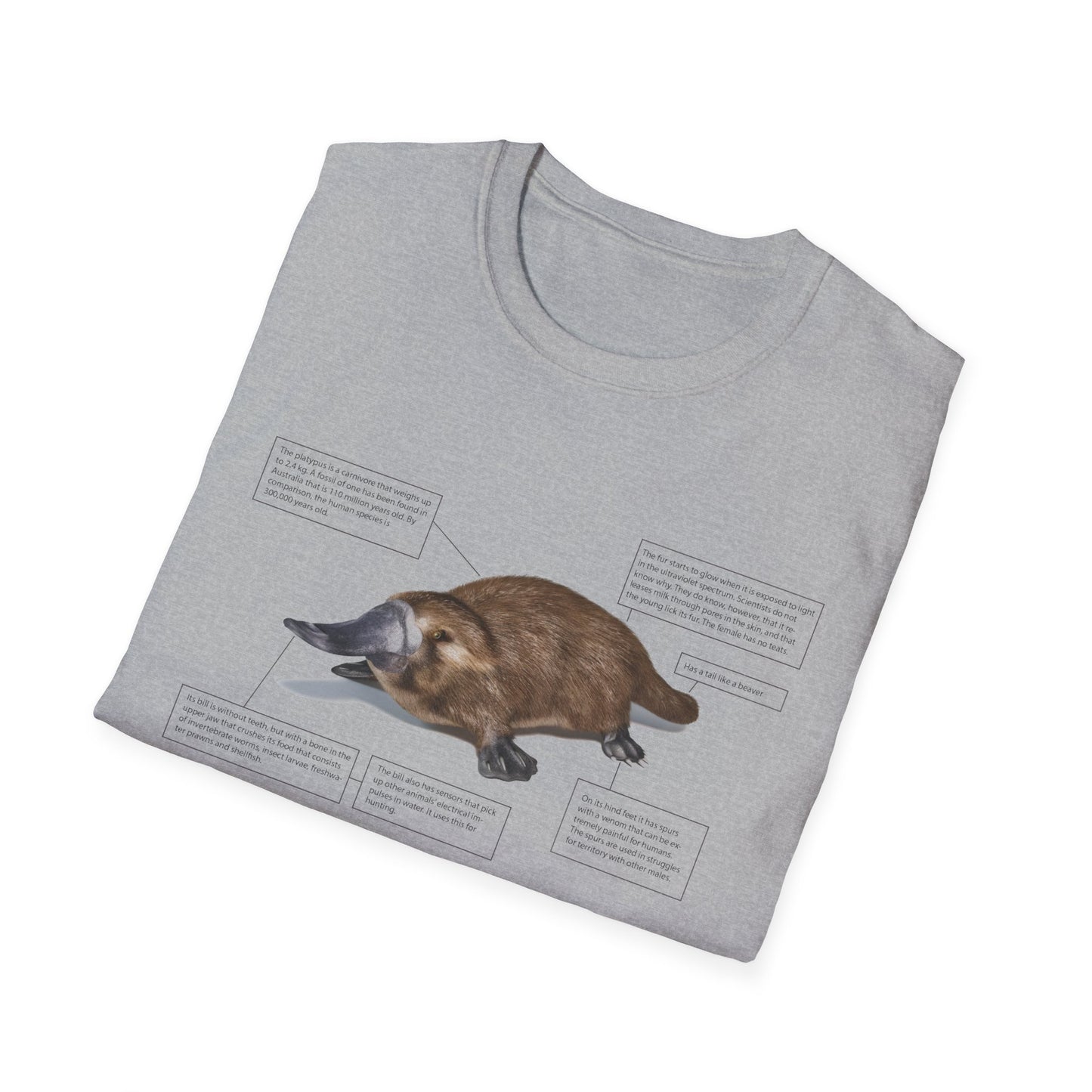pleasant platypus facts tshirt