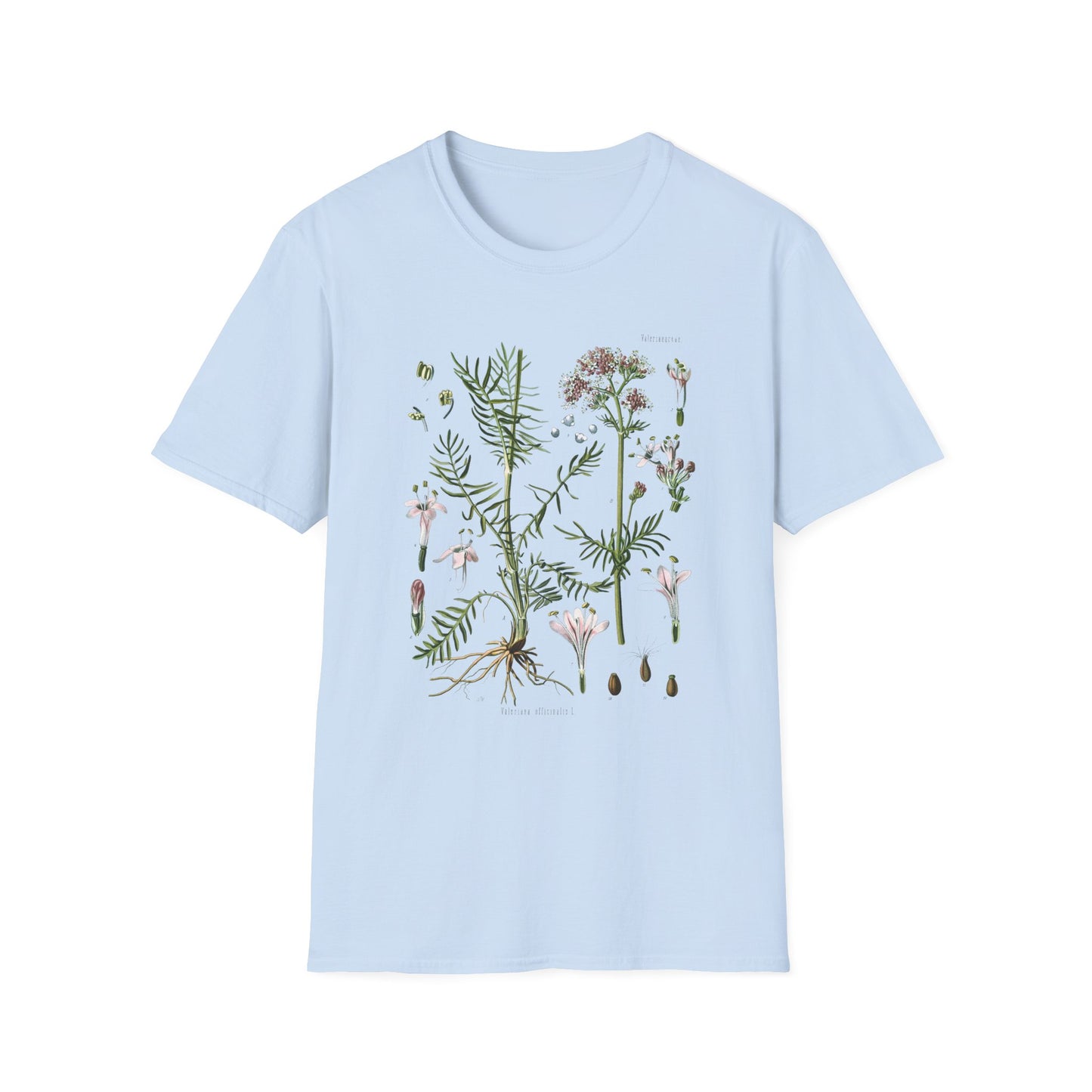1887 valerian herb valeriana officinalis botanical print from kohler's plants by hermann adolph kohler tshirt