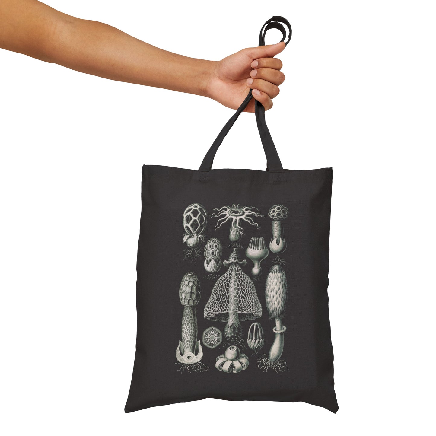 1904 basimycetes (schwammpilze) STINKHORN MUSHROOMS print by adolf giltsch after sketch by ernst haeckel on cotton canvas tote bag whatmart