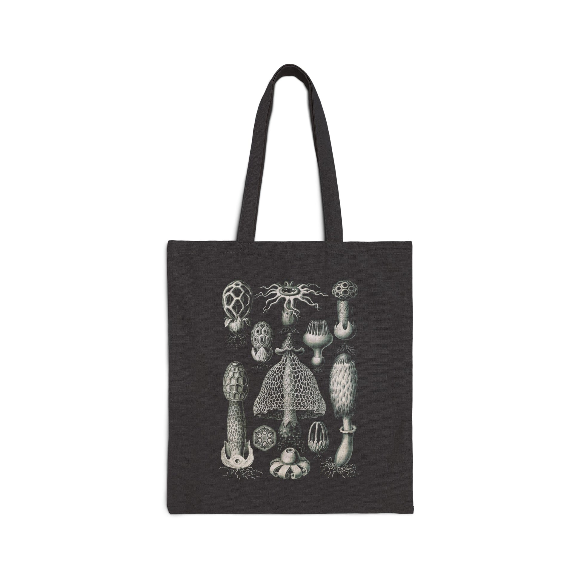 1904 basimycetes (schwammpilze) STINKHORN MUSHROOMS print by adolf giltsch after sketch by ernst haeckel on cotton canvas tote bag whatmart