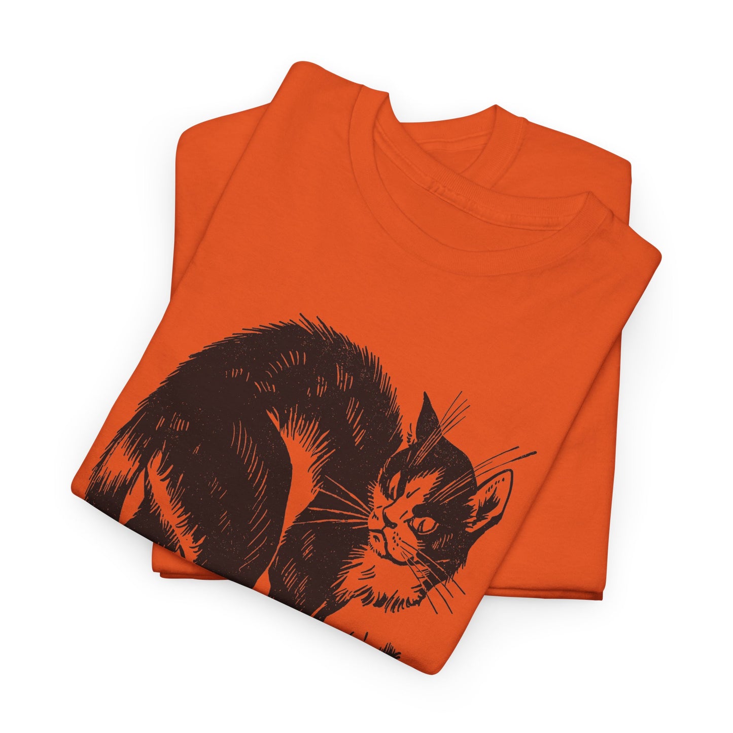 vintage french children's book illustration of angry cat and happy mouse reproduction tshirt