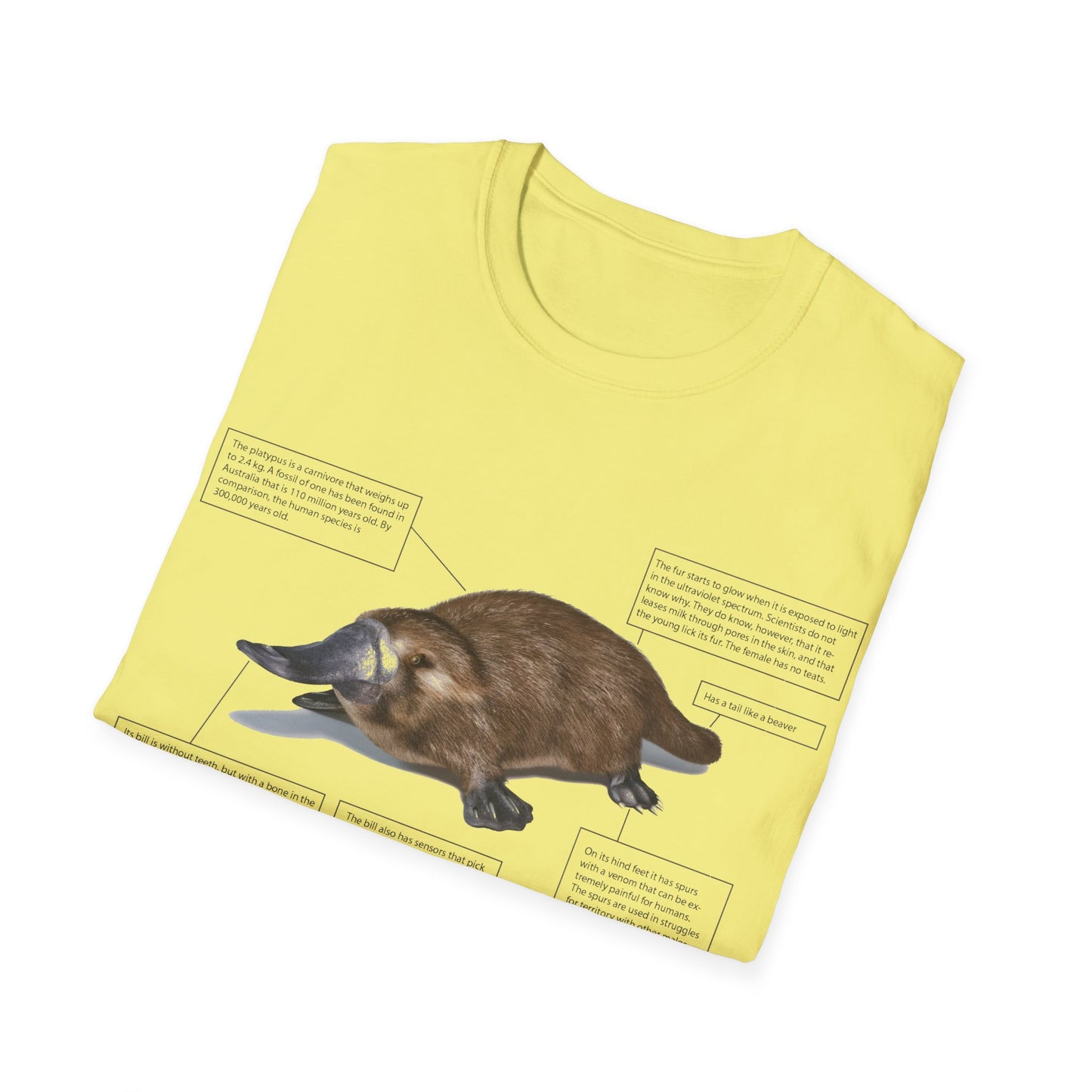 pleasant platypus facts tshirt