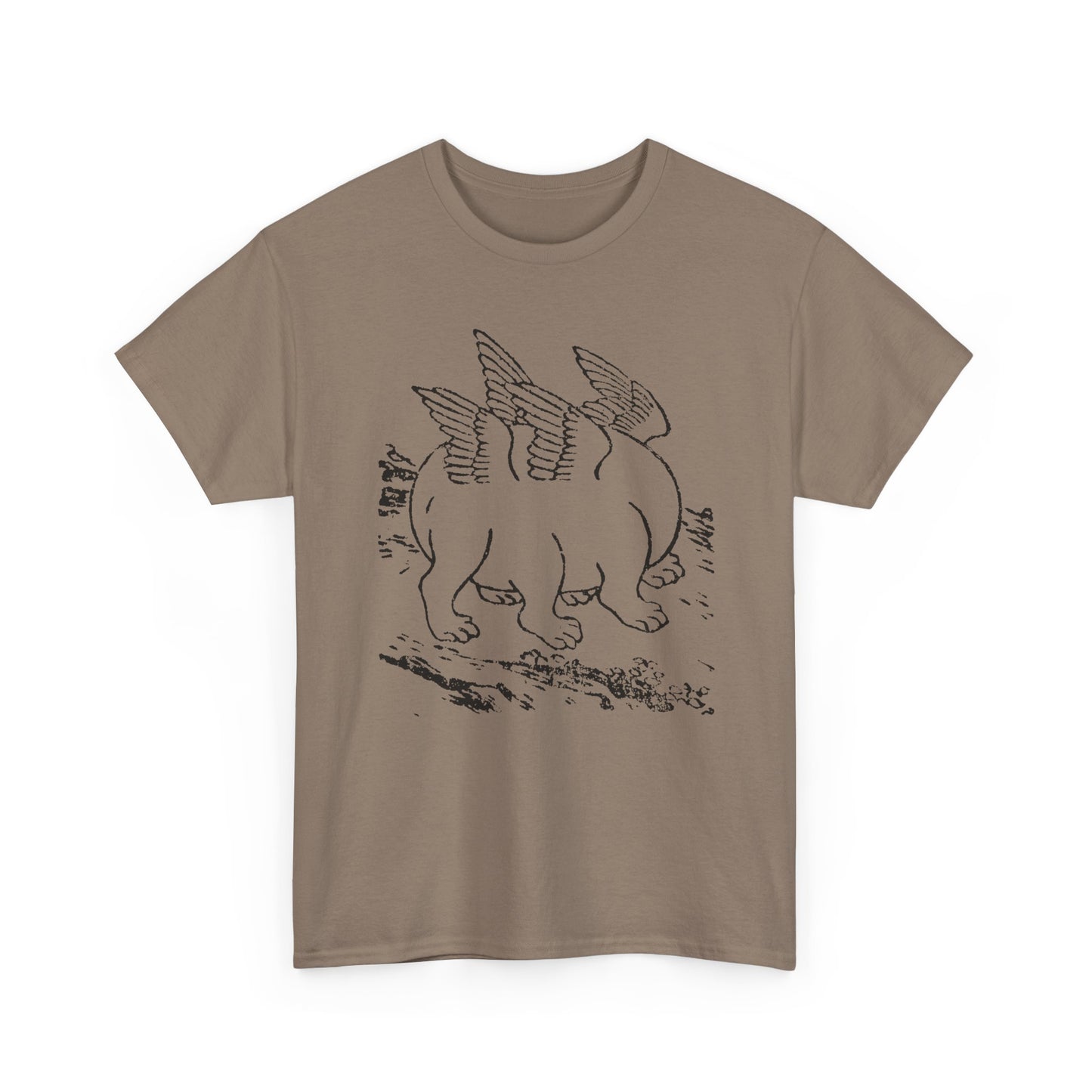1897 primordial egg chinese emblem of the ten powers illustration tshirt