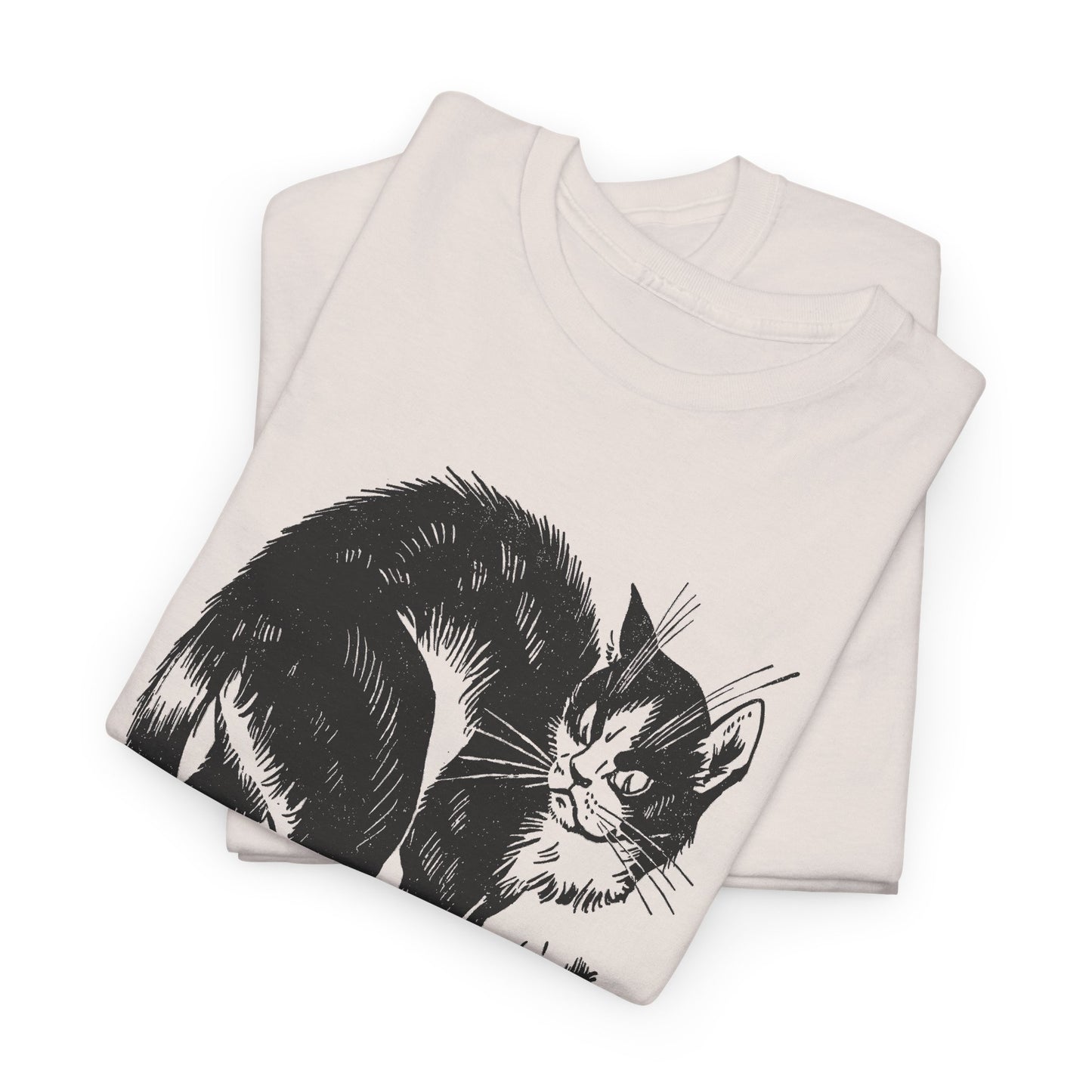 vintage french children's book illustration of angry cat and happy mouse reproduction tshirt